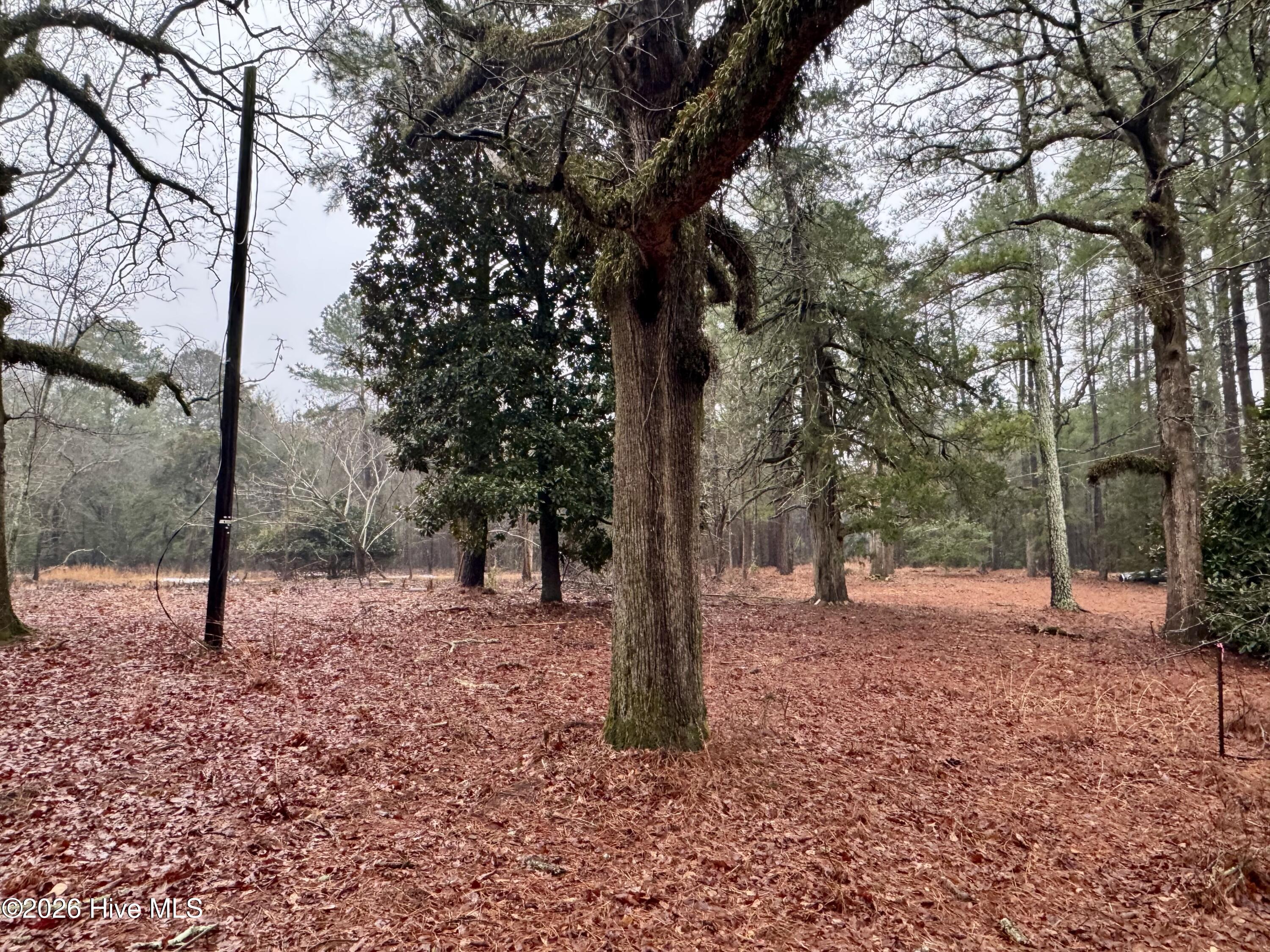 15181 Elmore Road Laurinburg, NC 28352 - Photo 11 of 11 View of Property Interior
