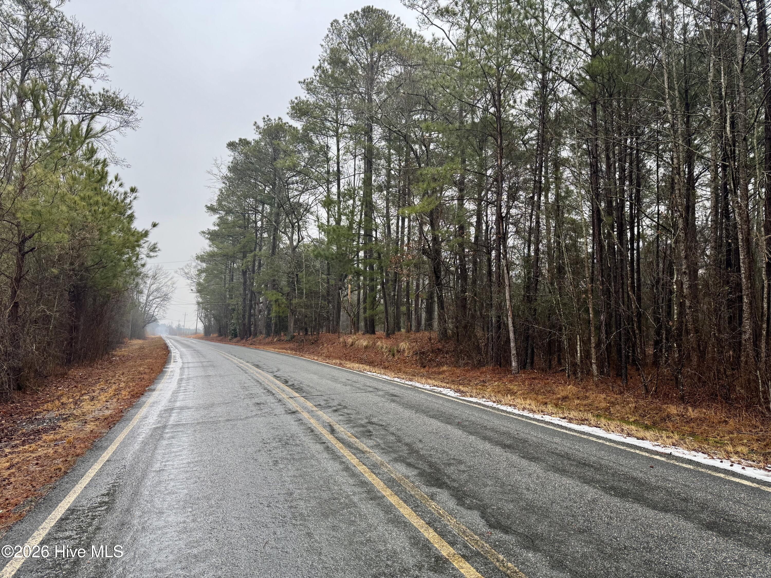 15181 Elmore Road Laurinburg, NC 28352 - Photo 4 of 8 Road Frontage Traveling From Gibson
