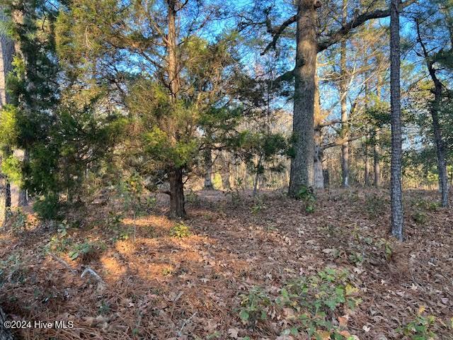 15181 Elmore Road Laurinburg, NC 28352 - Photo 4 of 11 0