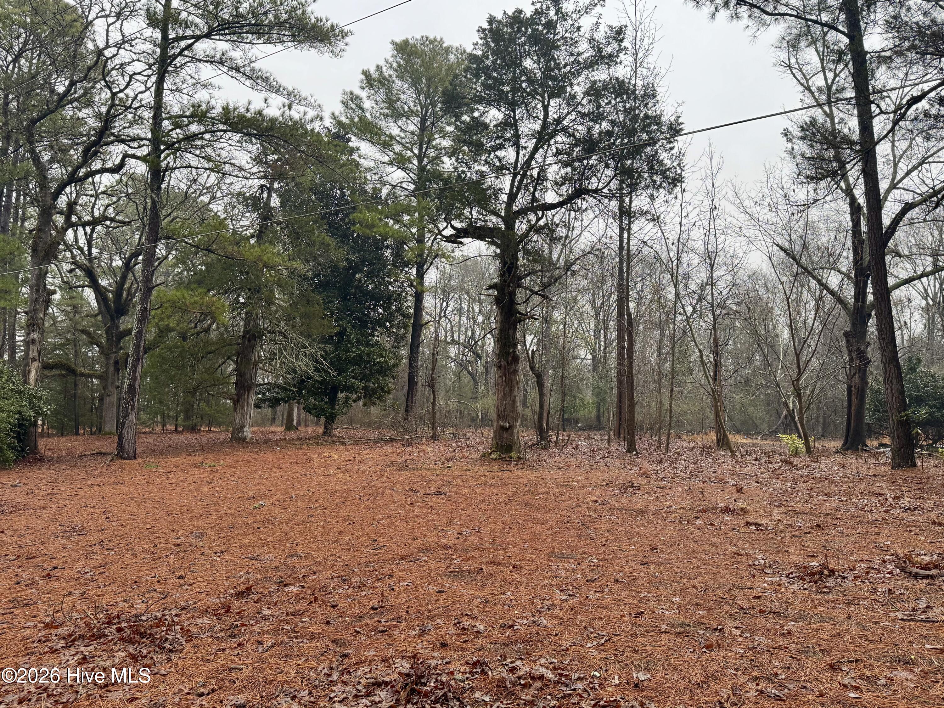 15181 Elmore Road Laurinburg, NC 28352 - Photo 6 of 8 Cleared Area For Home