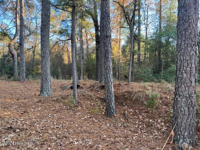 15181 Elmore Road Laurinburg, NC 28352 - Photo 7 of 8 View Of Property Interior