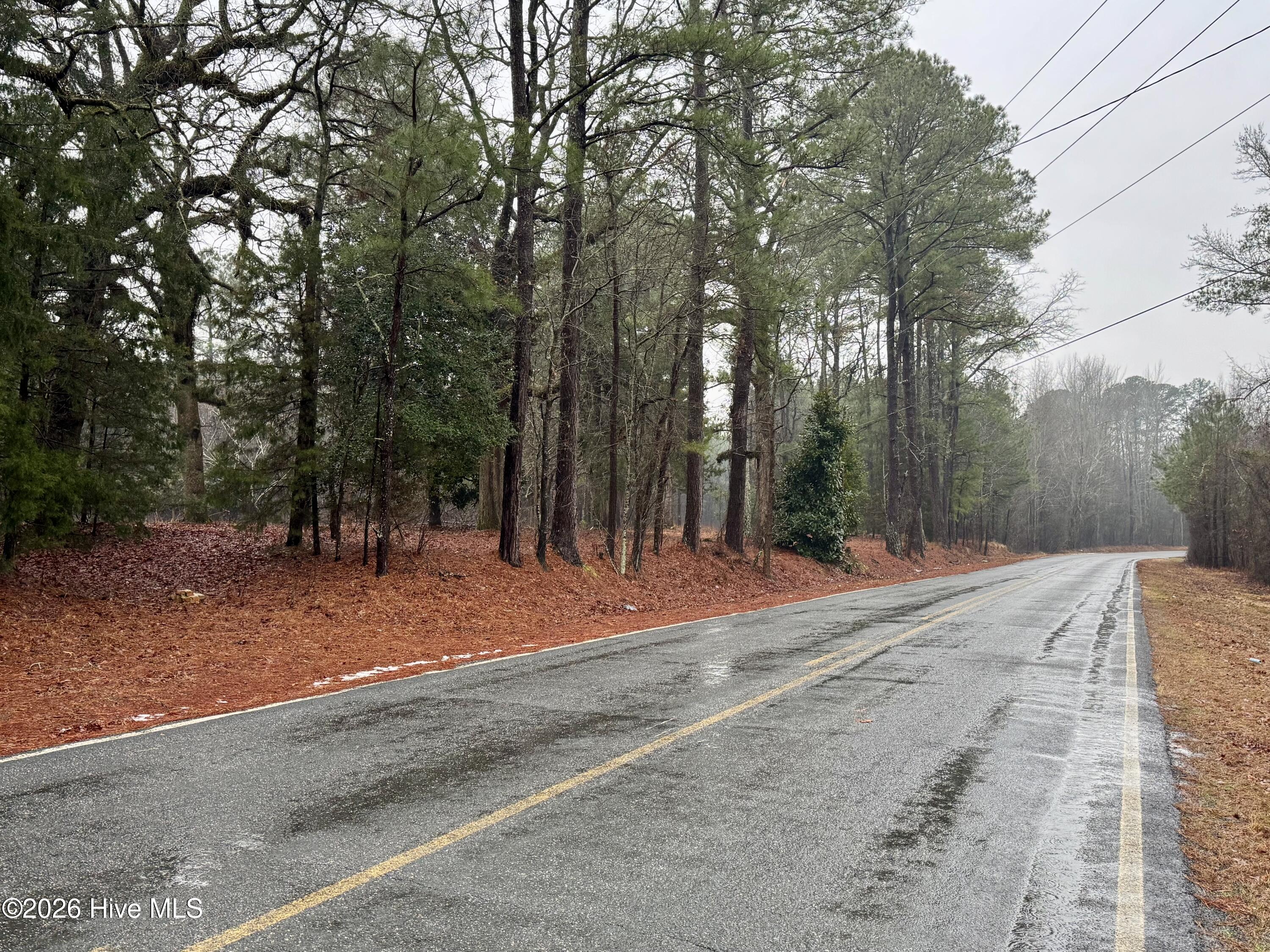 15181 Elmore Road Laurinburg, NC 28352 - Photo 8 of 11 Road Frontage Traveling From I-74