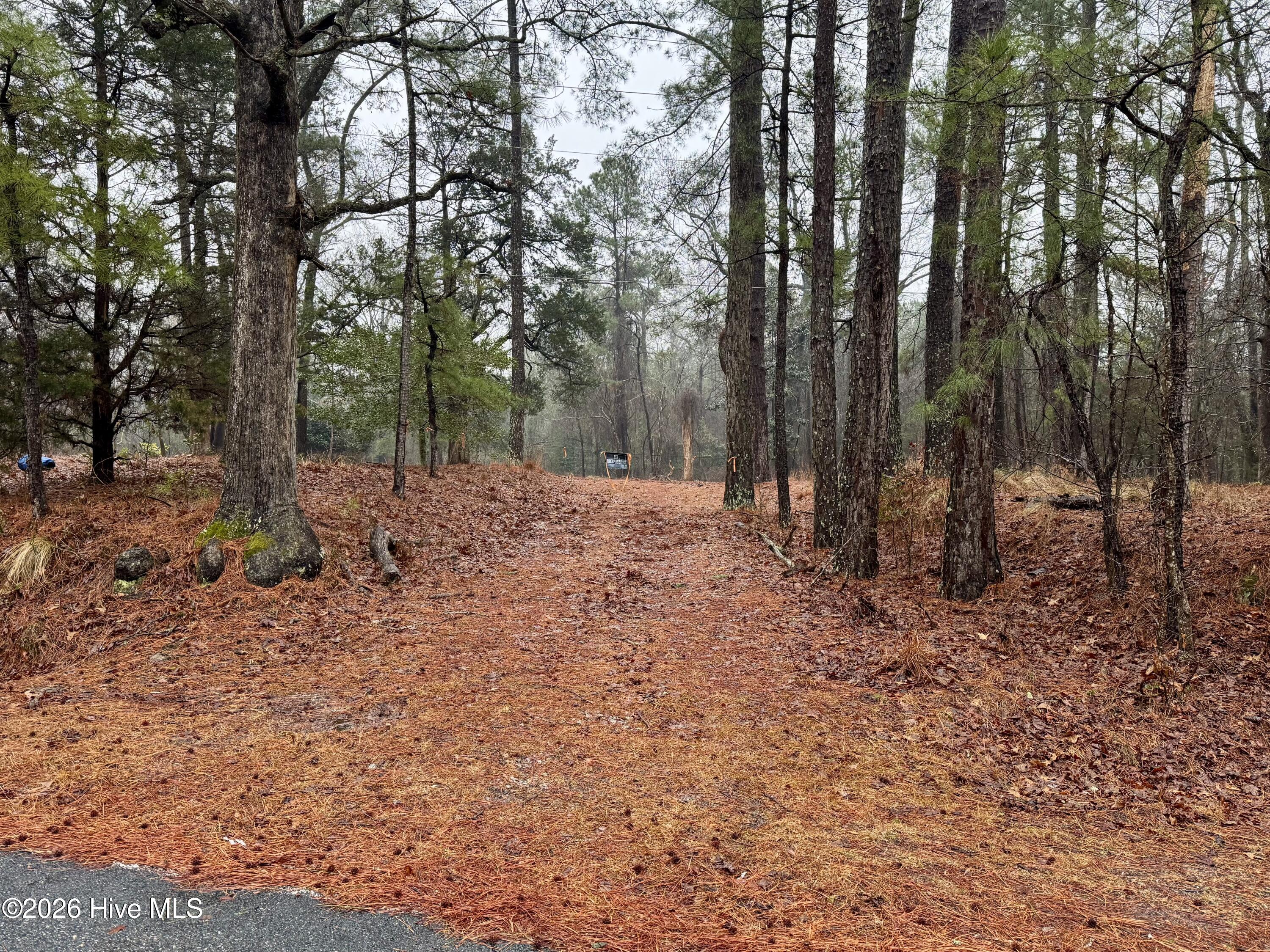 15181 Elmore Road Laurinburg, NC 28352 - Photo 9 of 11 Entrance To Property
