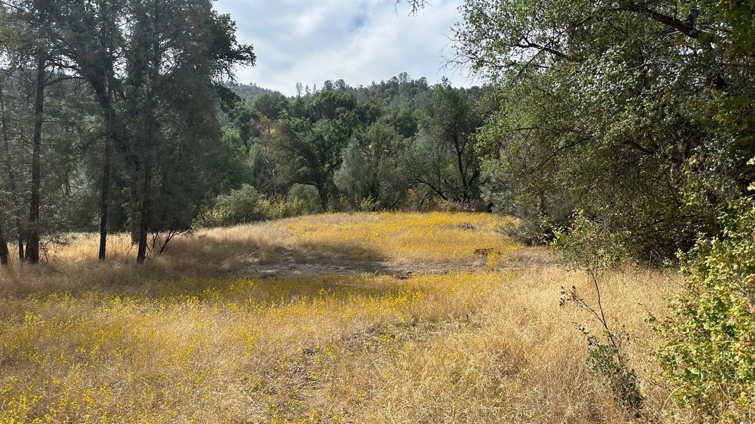 7 Lookout Mountain Road Mariposa, CA 95338 - Photo 1 of 26 Gallery Image 1