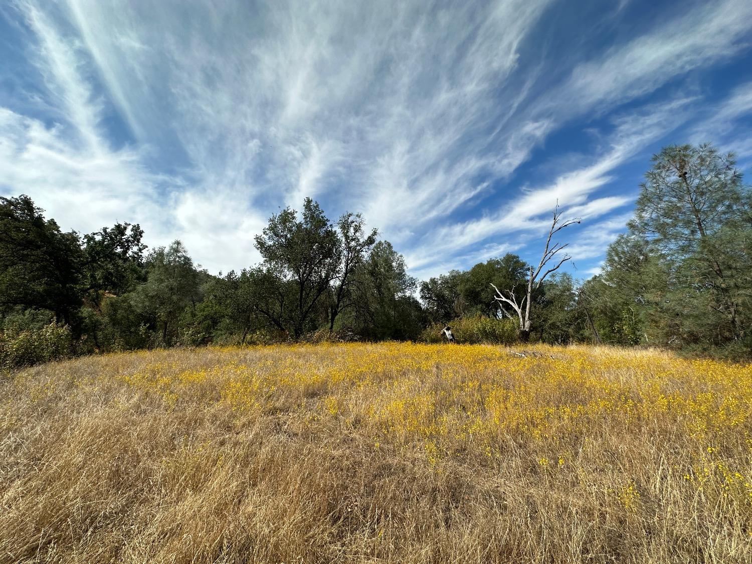 7 Lookout Mountain Road Mariposa, CA 95338 - Photo 11 of 26 Gallery Image 11