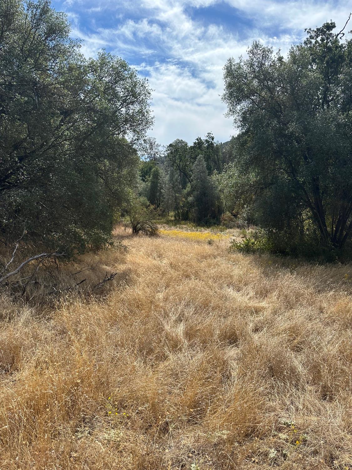 7 Lookout Mountain Road Mariposa, CA 95338 - Photo 13 of 26 Gallery Image 13