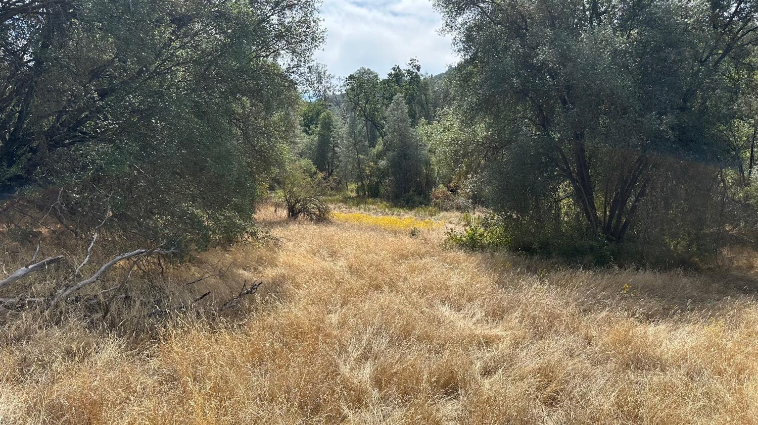7 Lookout Mountain Road Mariposa, CA 95338 - Photo 16 of 26 Gallery Image 16