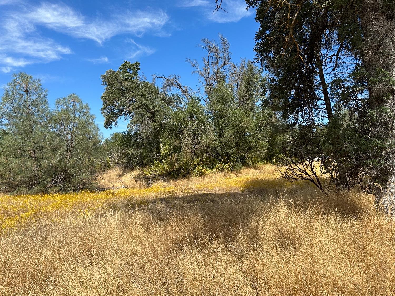 7 Lookout Mountain Road Mariposa, CA 95338 - Photo 17 of 26 Gallery Image 17