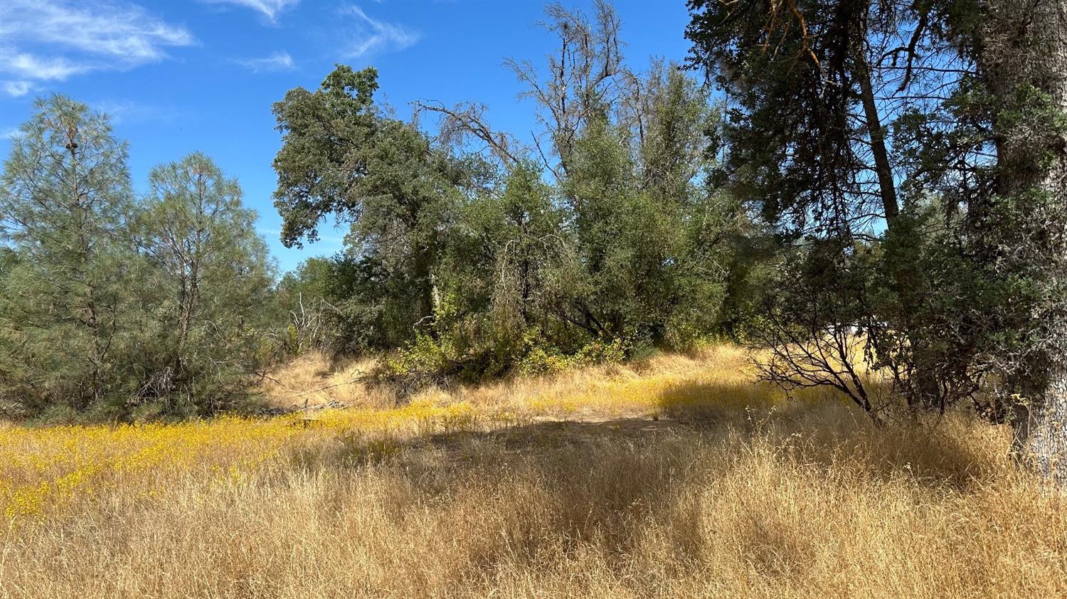 7 Lookout Mountain Road Mariposa, CA 95338 - Photo 18 of 26 Gallery Image 18