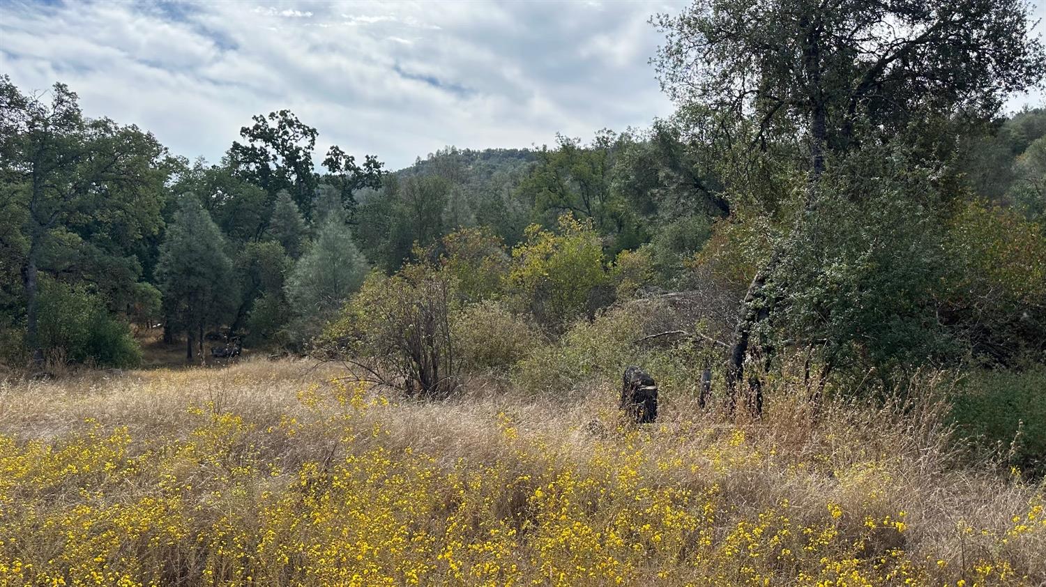 7 Lookout Mountain Road Mariposa, CA 95338 - Photo 20 of 26 Gallery Image 20