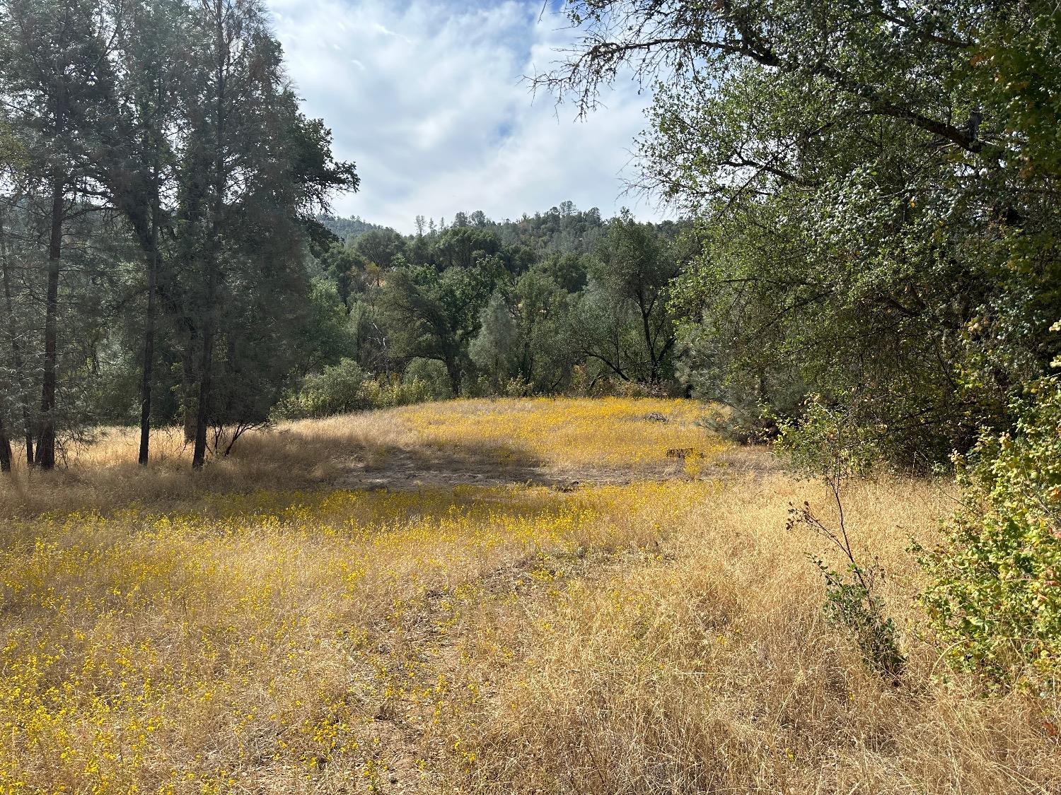 7 Lookout Mountain Road Mariposa, CA 95338 - Photo 2 of 26 Gallery Image 2