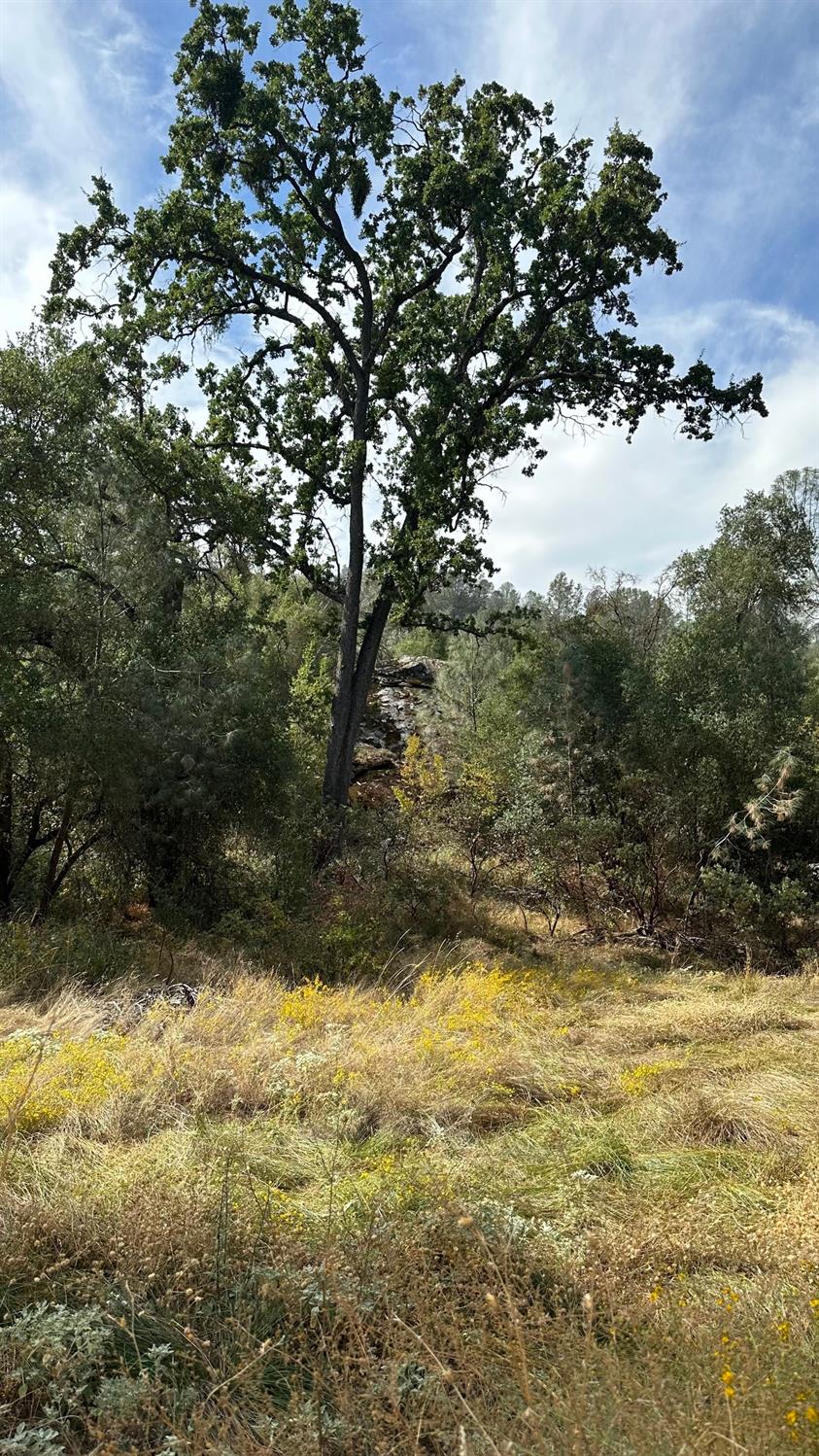 7 Lookout Mountain Road Mariposa, CA 95338 - Photo 26 of 26 Gallery Image 26