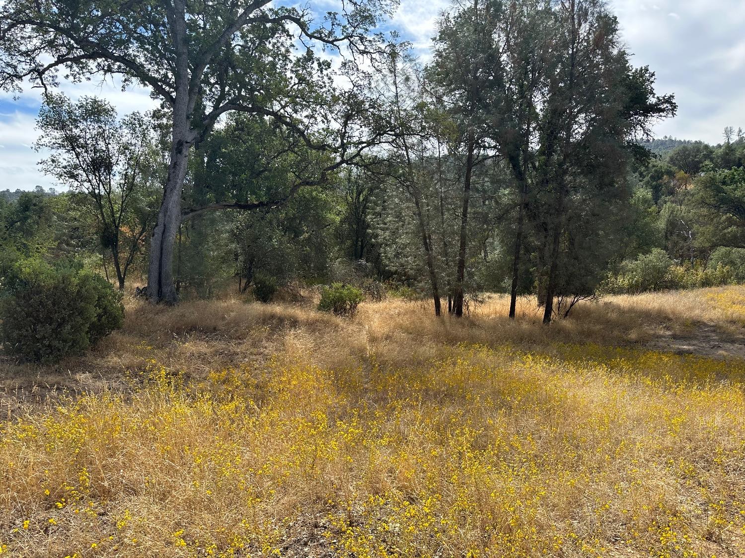 7 Lookout Mountain Road Mariposa, CA 95338 - Photo 3 of 26 Gallery Image 3