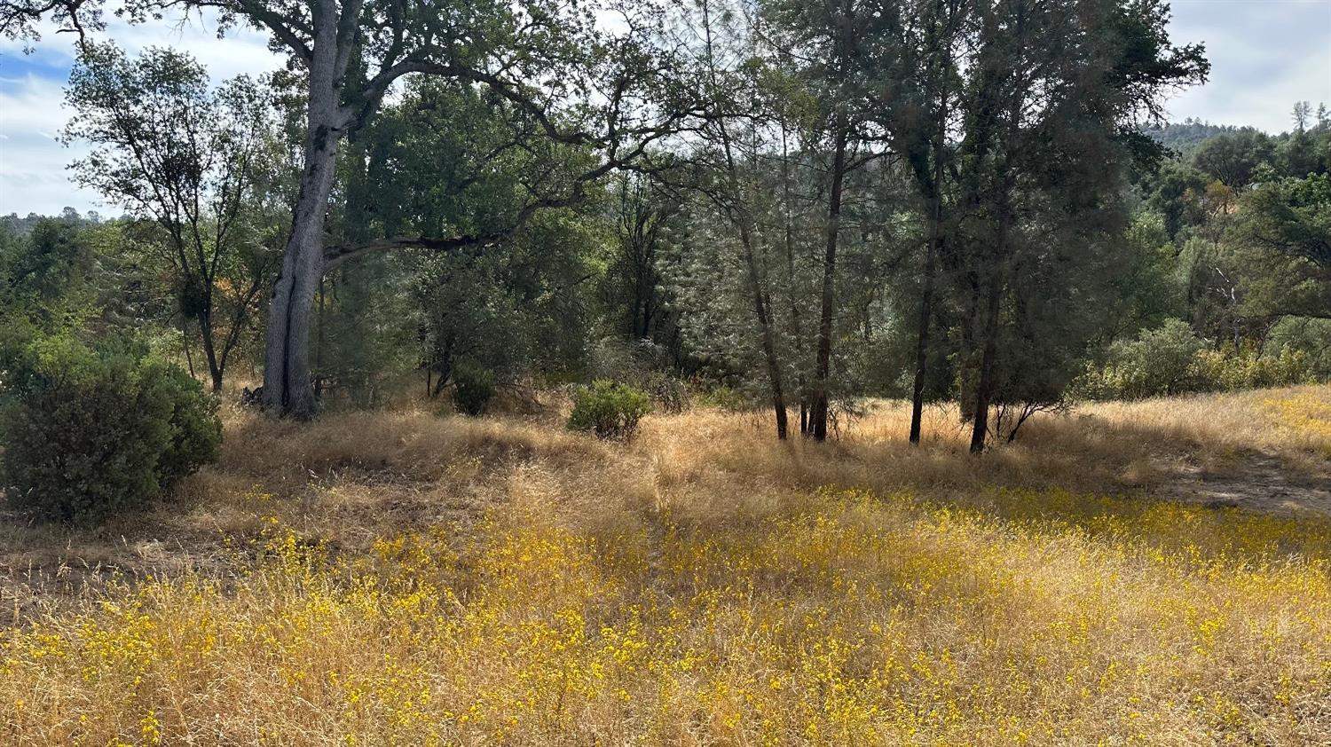 7 Lookout Mountain Road Mariposa, CA 95338 - Photo 4 of 26 Gallery Image 4