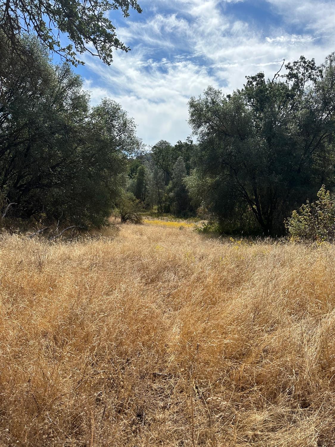7 Lookout Mountain Road Mariposa, CA 95338 - Photo 5 of 26 Gallery Image 5