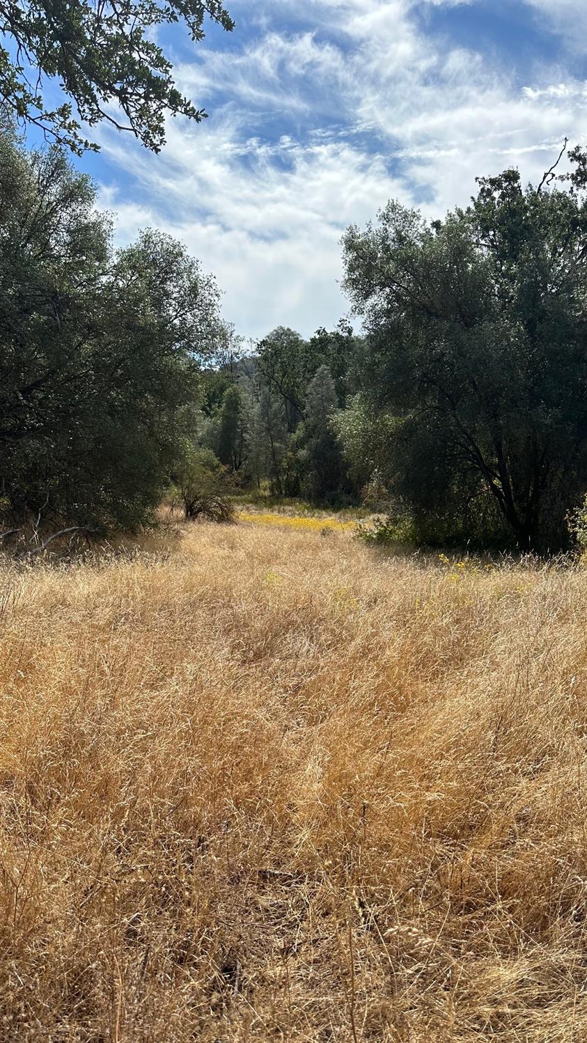 7 Lookout Mountain Road Mariposa, CA 95338 - Photo 6 of 26 Gallery Image 6