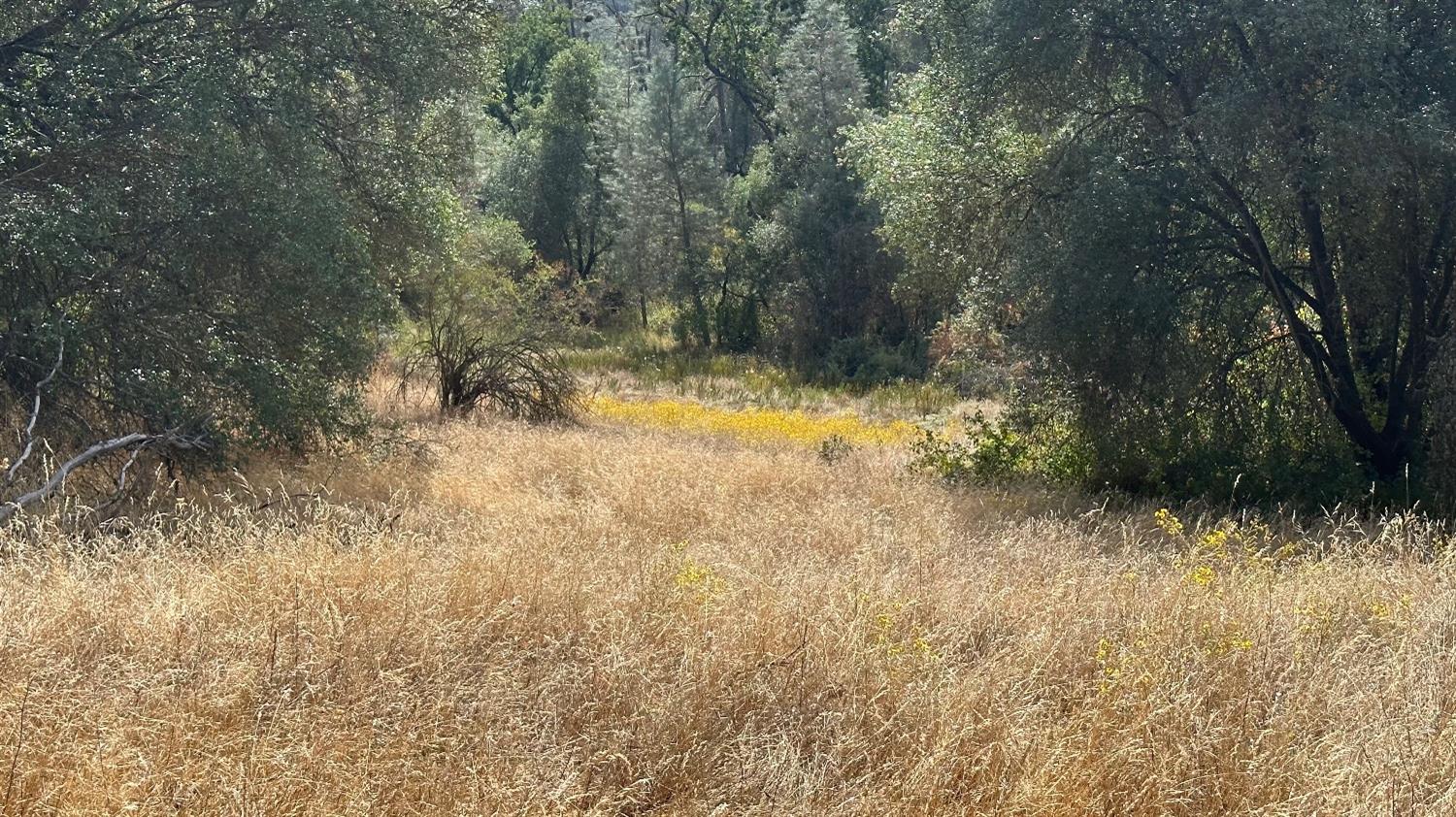 7 Lookout Mountain Road Mariposa, CA 95338 - Photo 8 of 26 Gallery Image 8