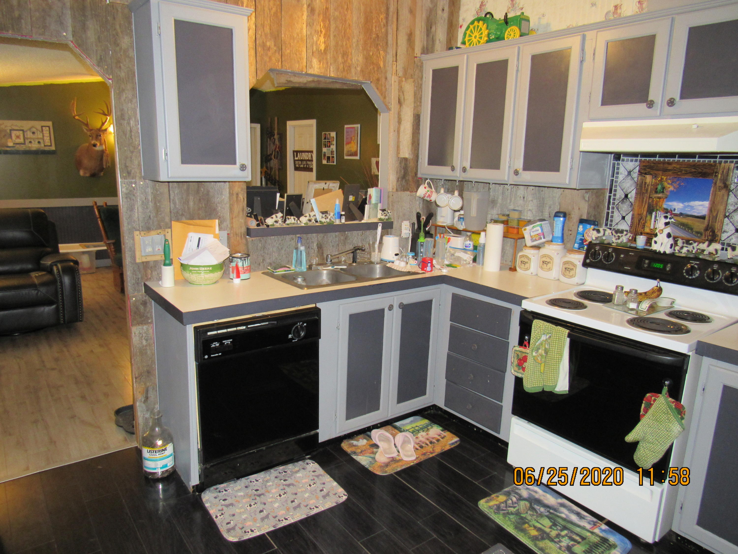 210 Herbert Shannon Road Sunbright, TN 37872 - Photo 12 of 20 IMG_2506