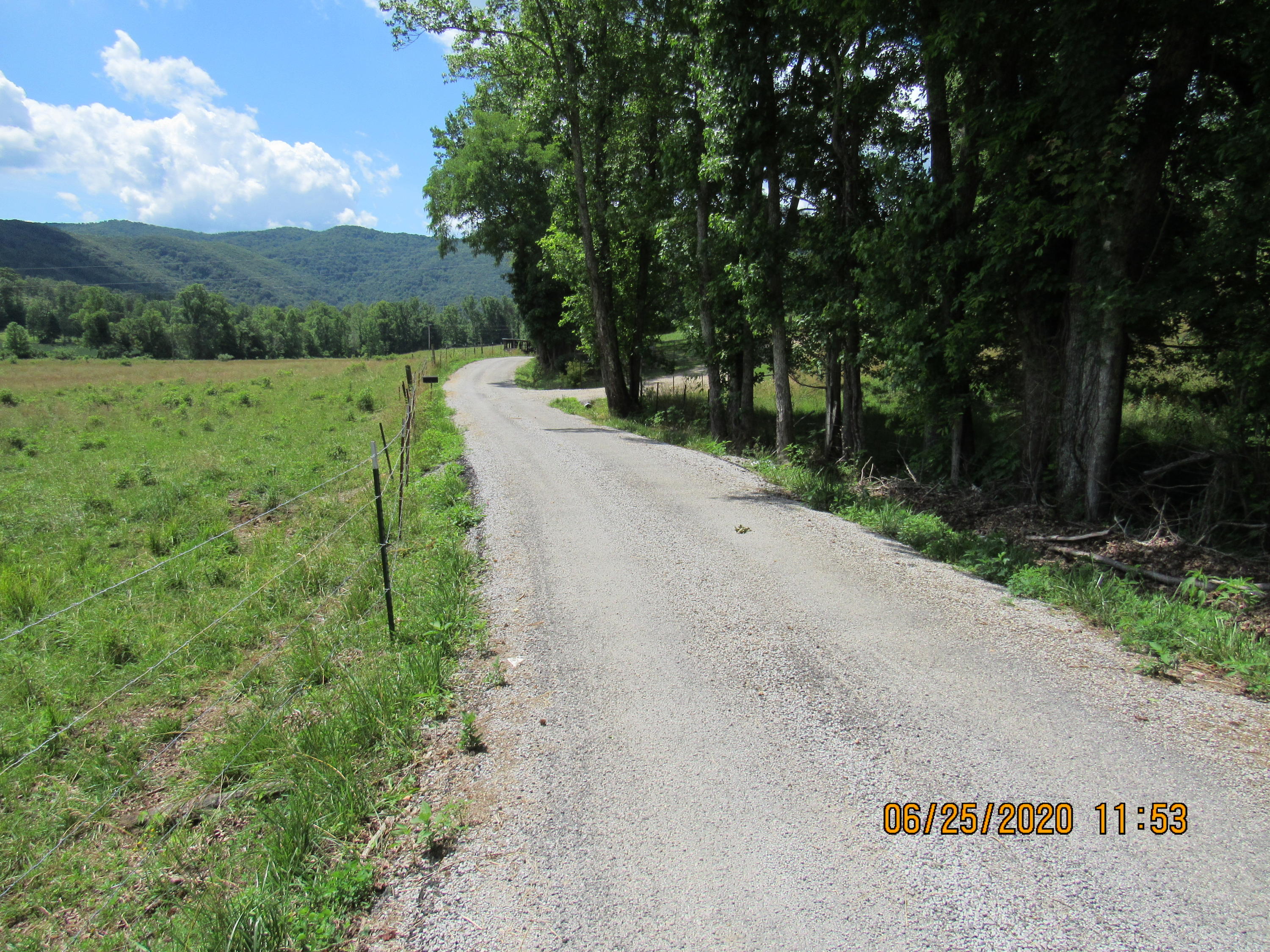 210 Herbert Shannon Road Sunbright, TN 37872 - Photo 3 of 20 IMG_2491