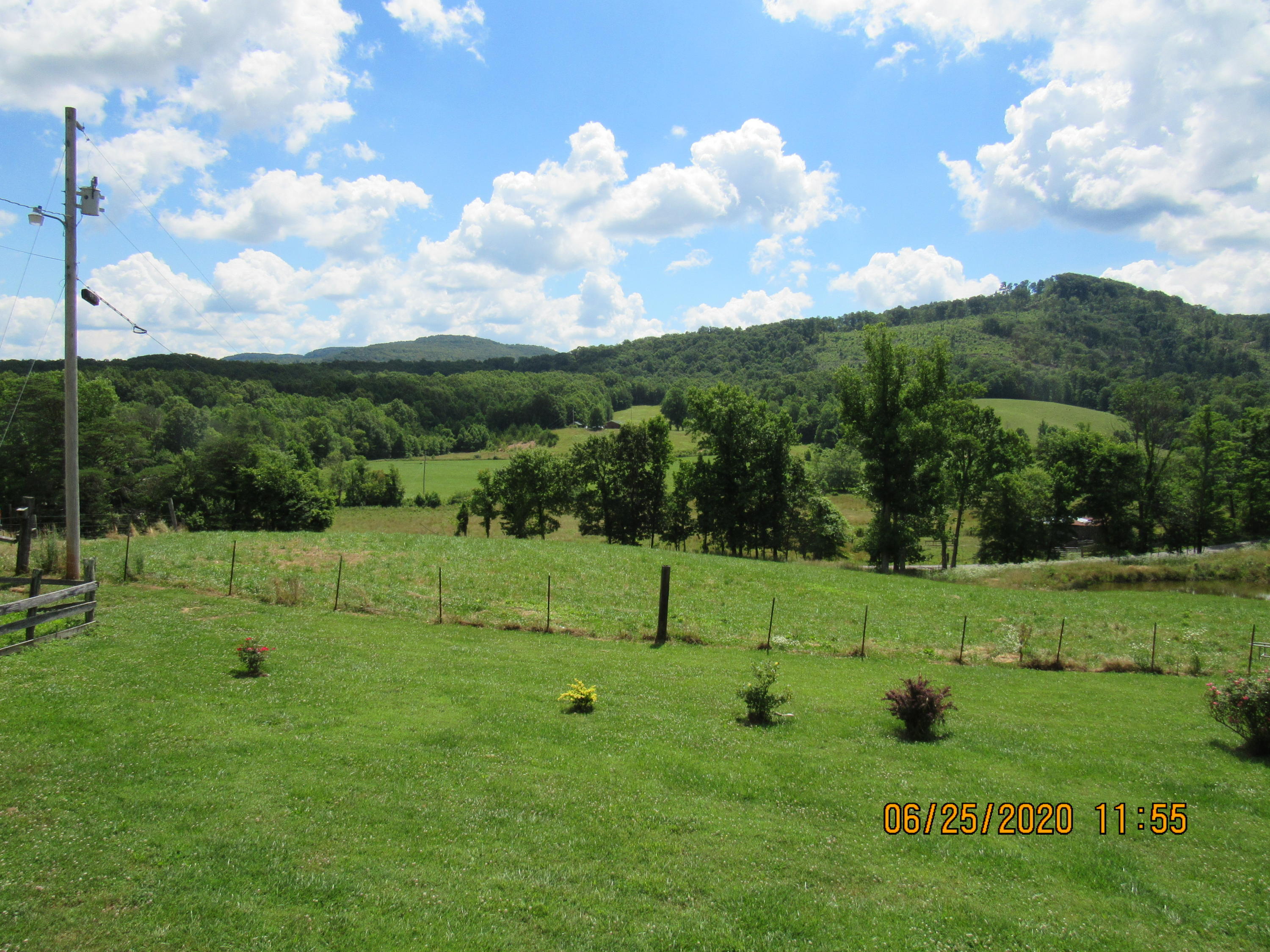 210 Herbert Shannon Road Sunbright, TN 37872 - Photo 9 of 20 IMG_2503