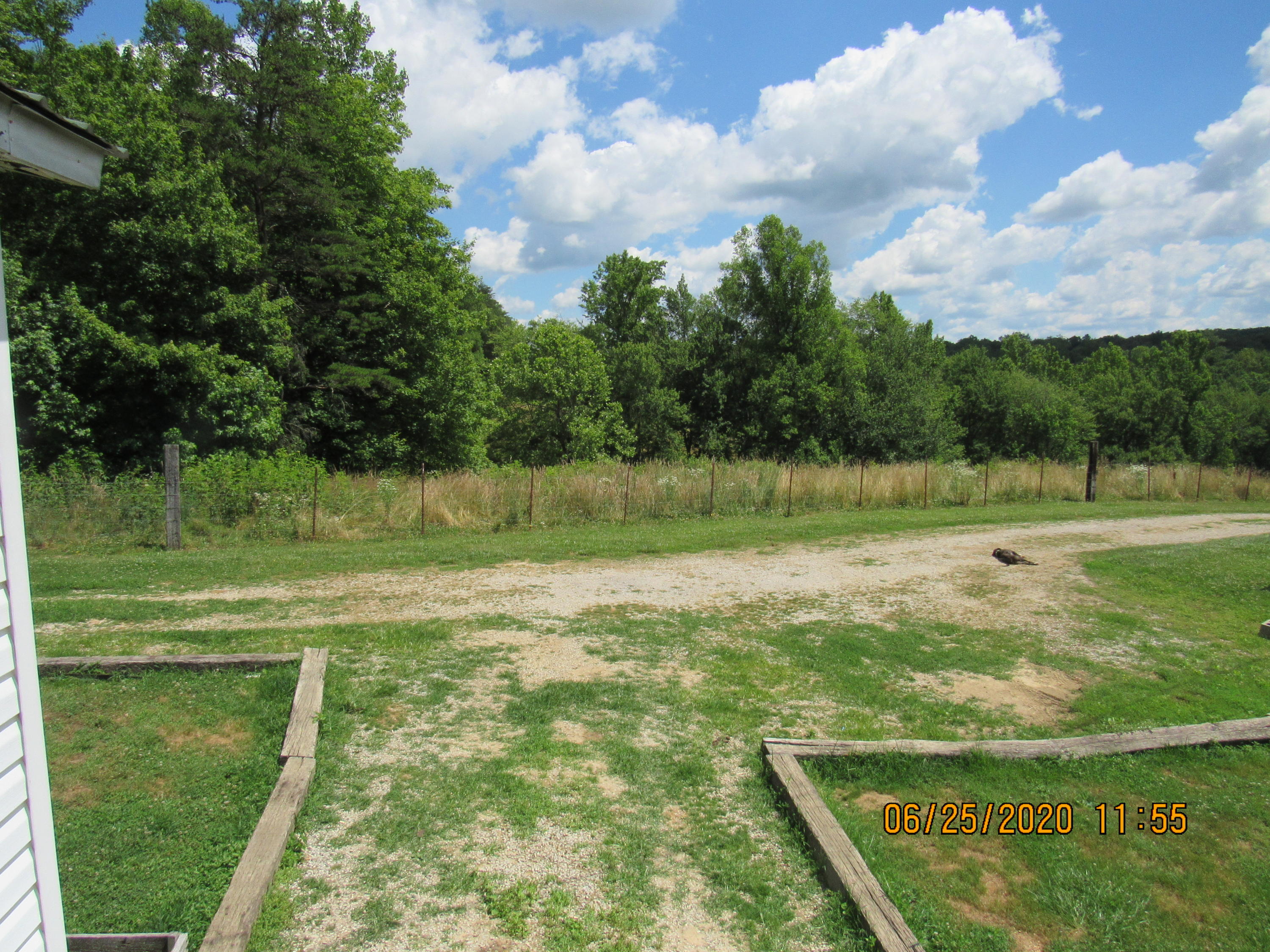 210 Herbert Shannon Road Sunbright, TN 37872 - Photo 10 of 20 IMG_2504
