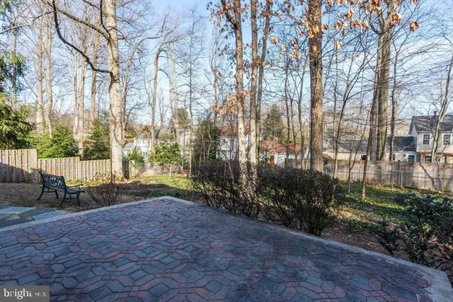 a view of a park with large trees