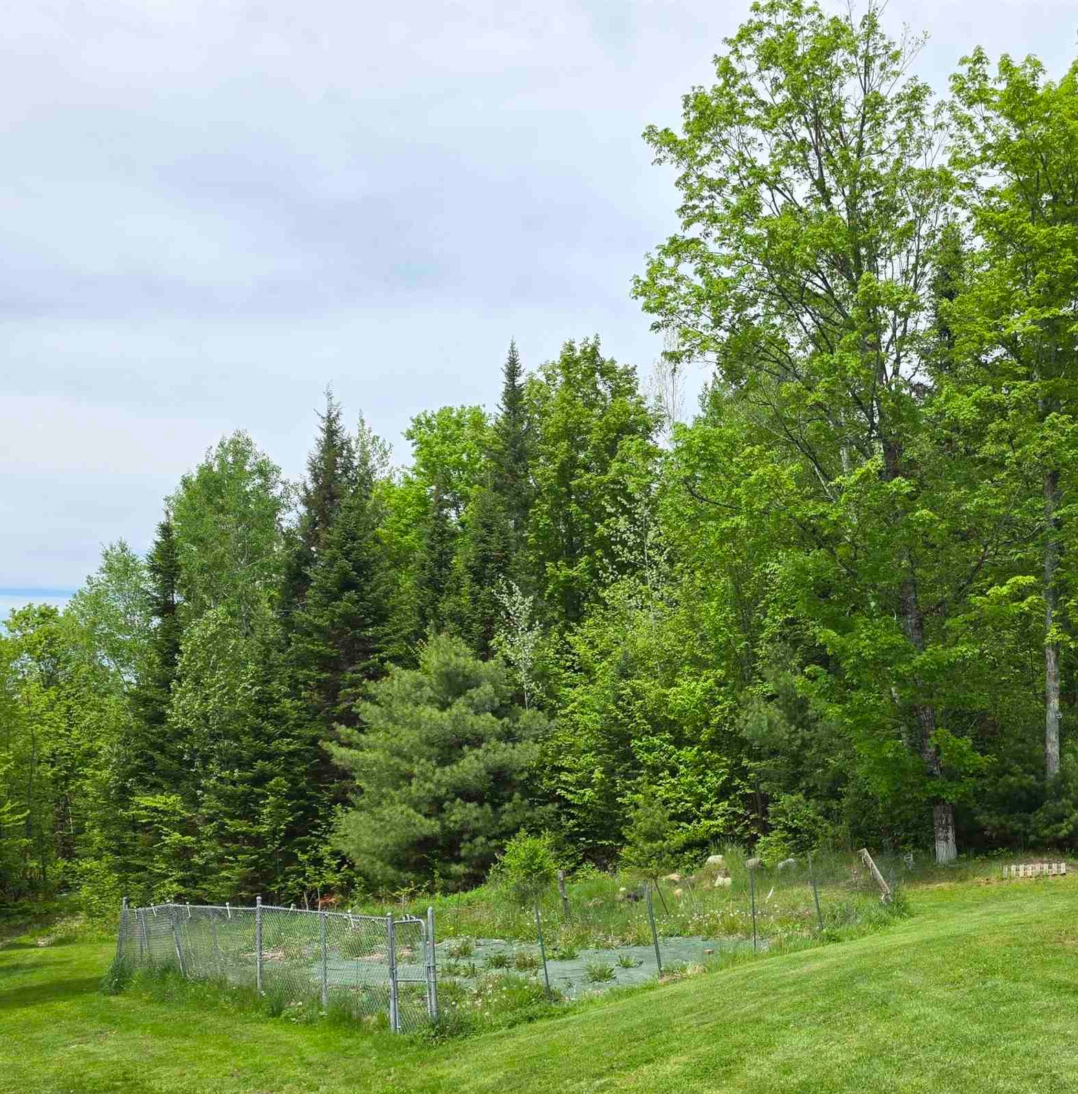 233 Jerusalem Road Marshfield, VT 05667 - Photo 12 of 39