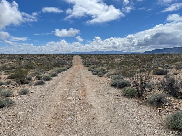 . Aripine Road Yucca, AZ 86438 - Photo 3 of 6
