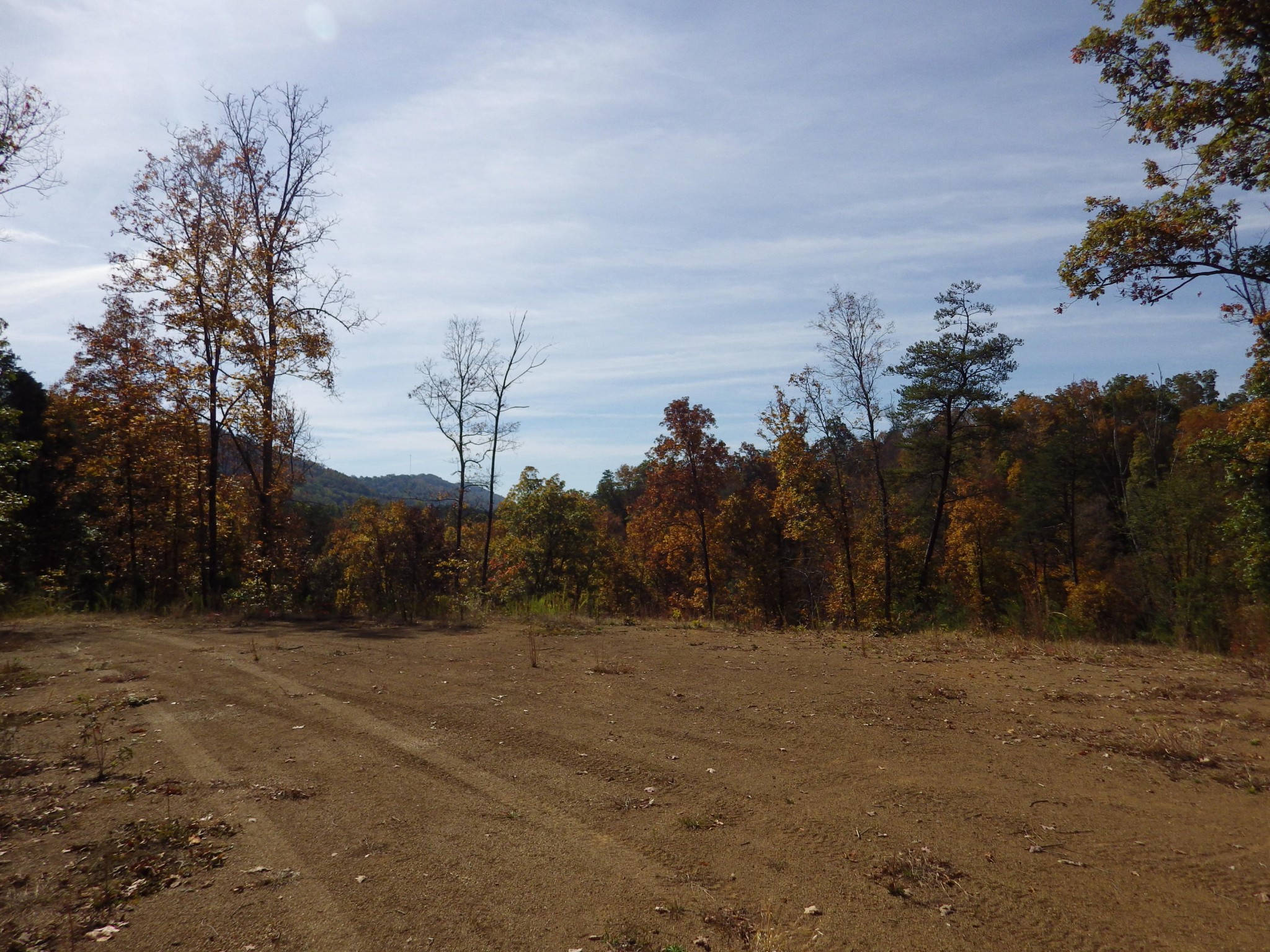 1585 Davis Valley Road Afton, TN 37616 - Photo 19 of 20 Gallery Image 19