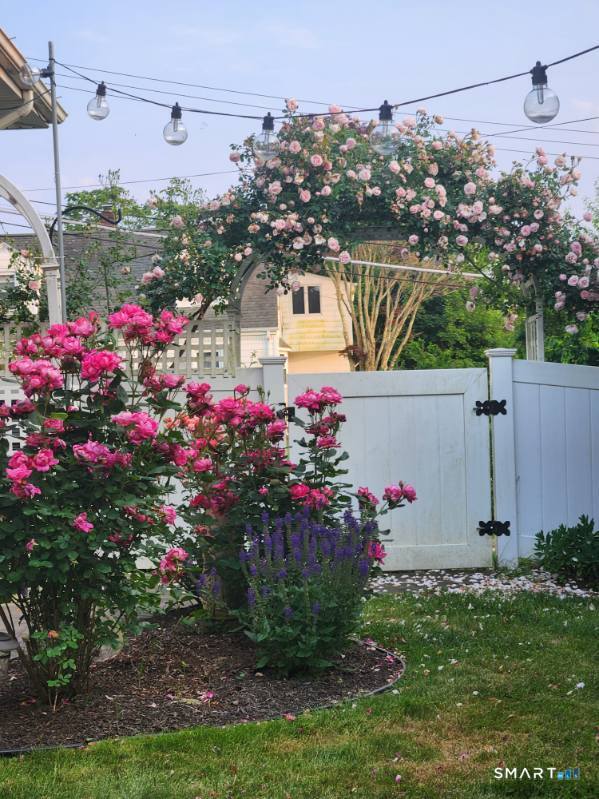 36 Baker Avenue Groton, CT 06340 - Photo 37 of 38 a view of yard and flowers