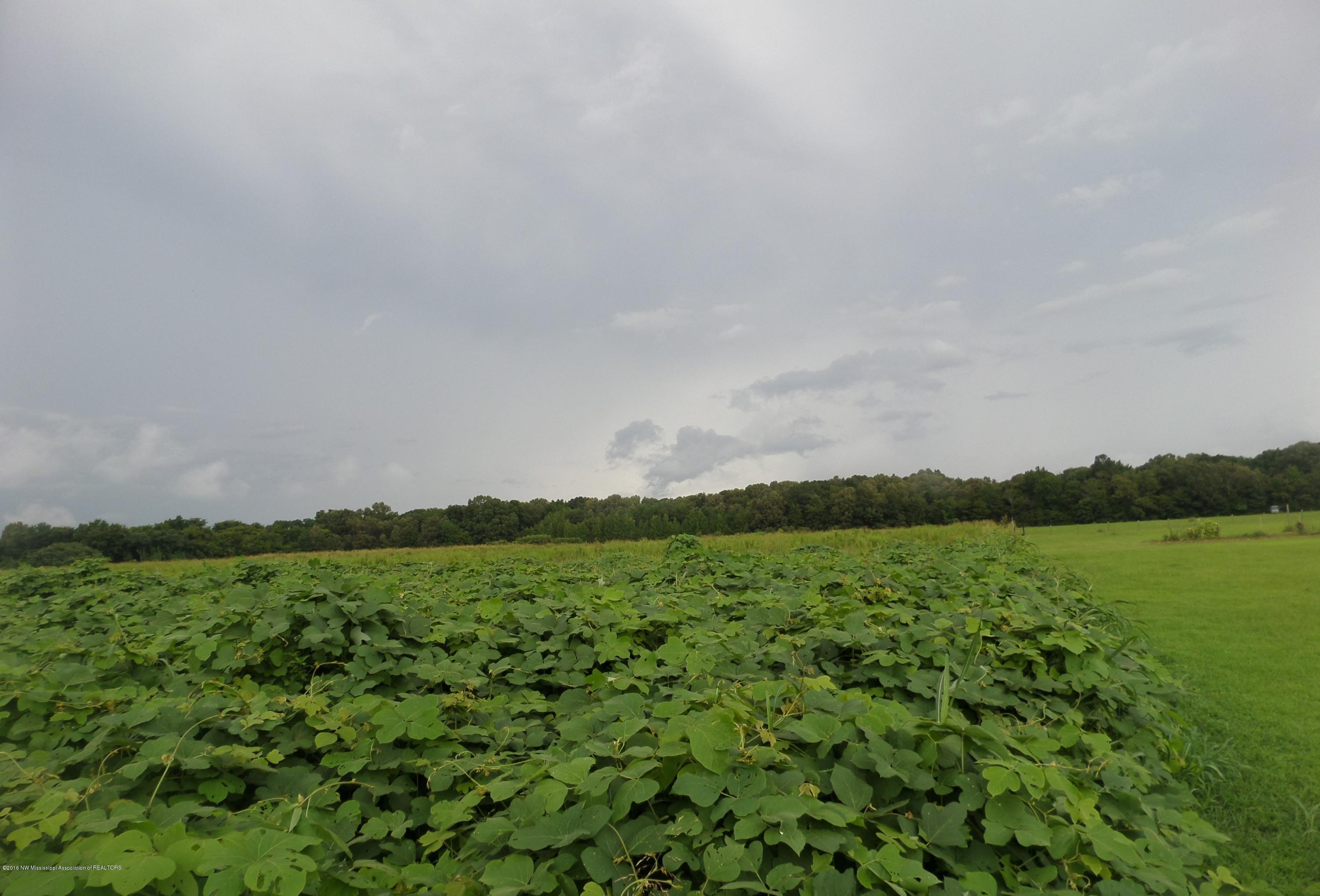 10 Wheeler Road Hernando, MS 38632 - Photo 2 of 2 SAM_1848