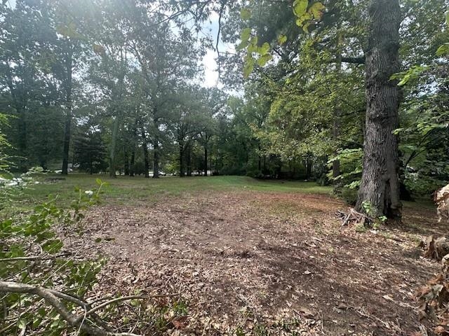 901 South Perkins Road Memphis, TN 38117 - Photo 10 of 10 a view of a forest with trees in the background