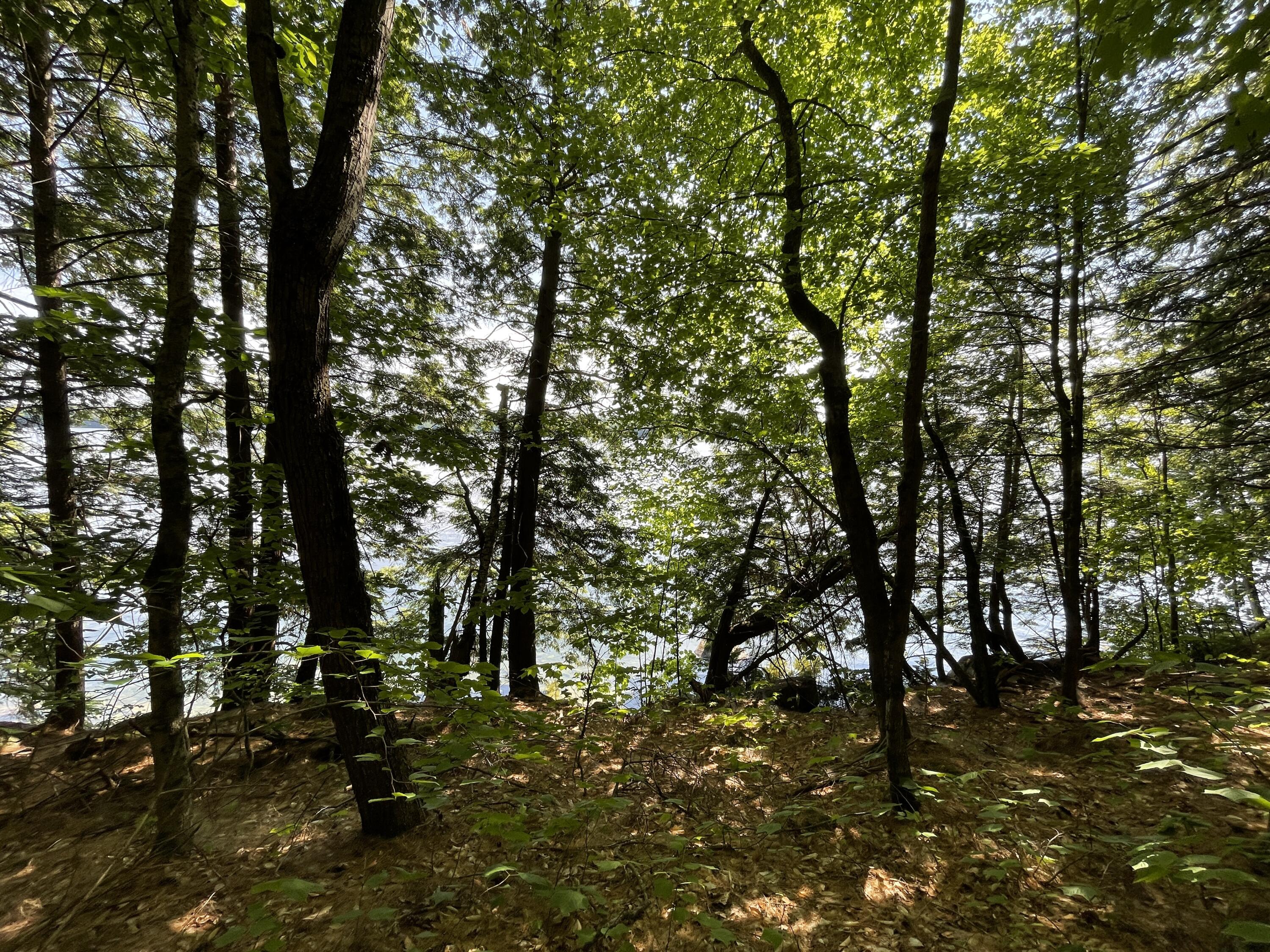 202 Shore Road Otisfield, ME 04270 - Photo 19 of 30 Lake Side Land