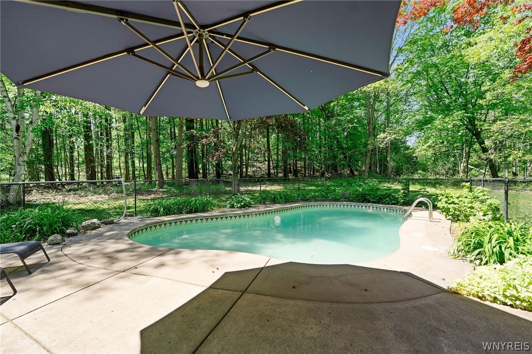 151 Colony Court Elma, NY 14052 - Photo 36 of 48
