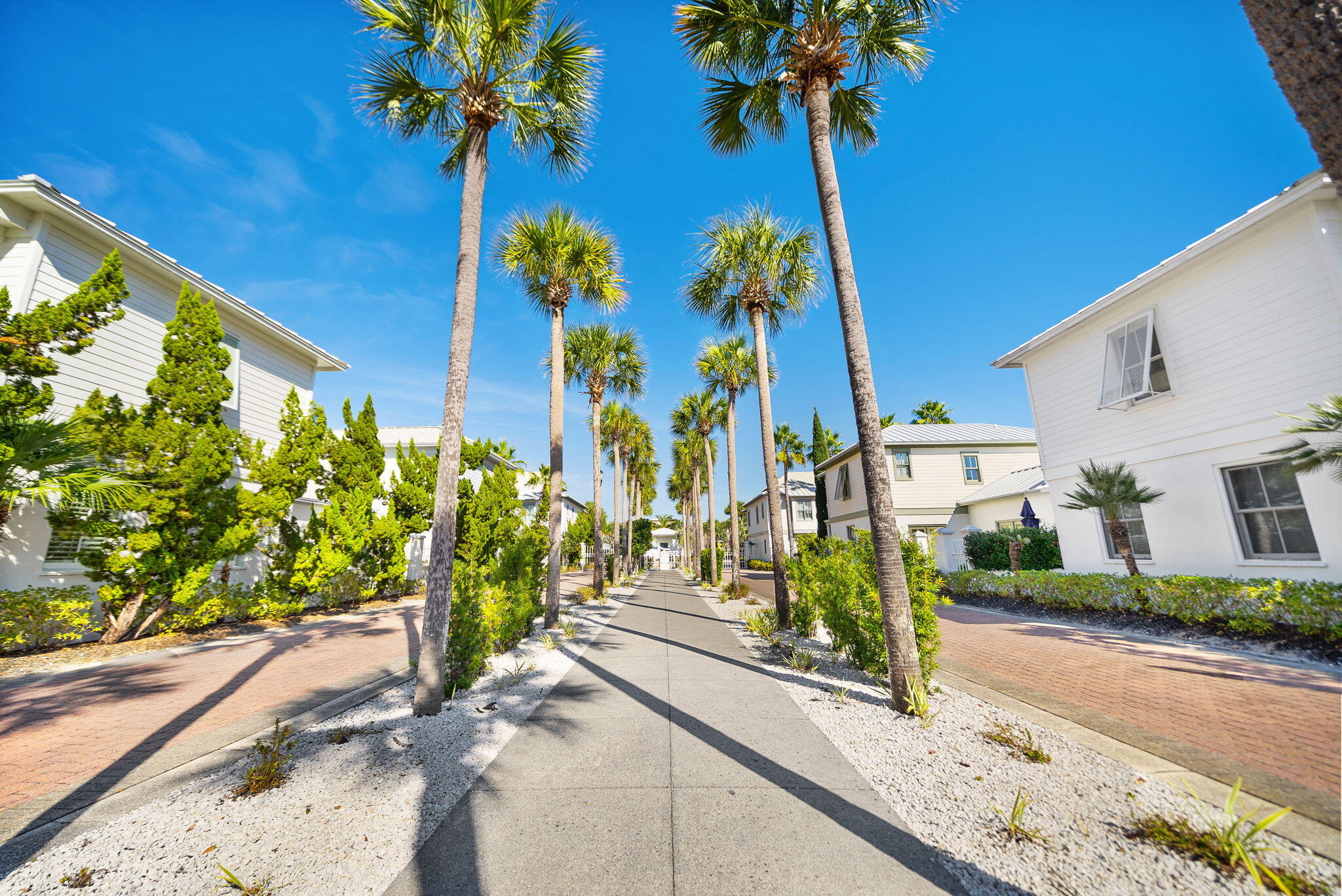 10140 East County Highway 30A, Unit 2 Inlet Beach, FL 32461 - Photo 65 of 92 a view of a street with flower plants
