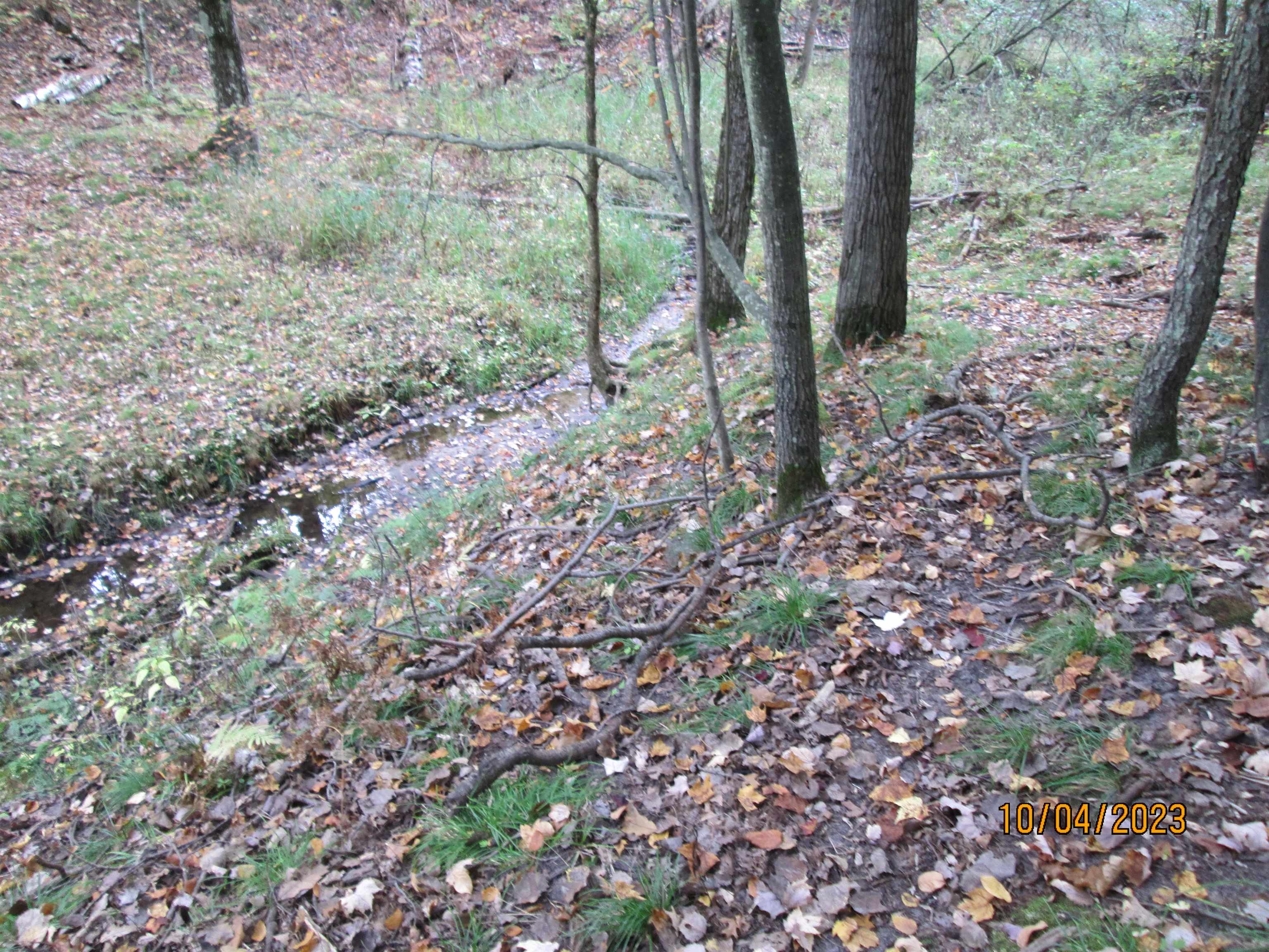 0 Peterson Road West Branch, MI 48661 - Photo 8 of 10 1916374-7.JPG