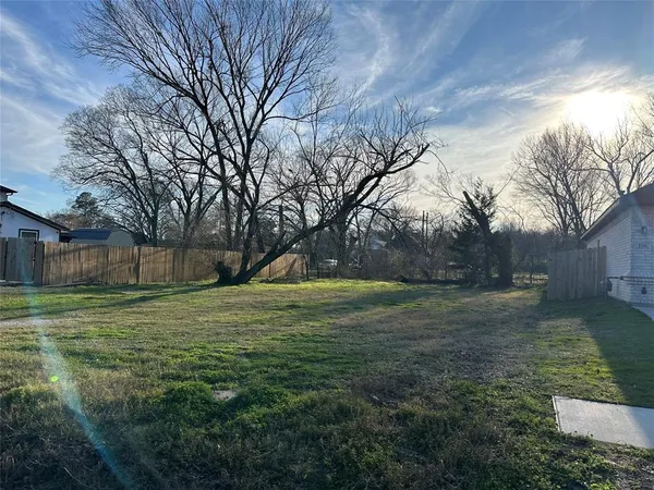 a view of a trees in a yard