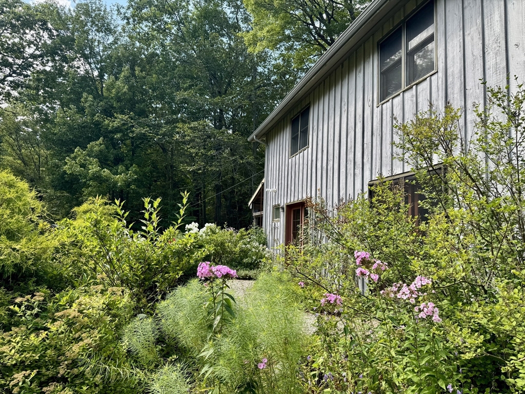 1450 W Road Ashfield, MA 01330 - Photo 27 of 36 a flower plants in front of a house