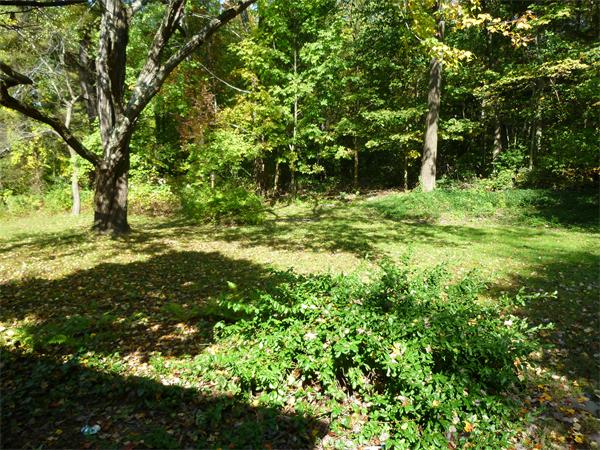 280 Florence Road Northampton, MA 01062 - Photo 11 of 11 a view of outdoor space with deck and green space