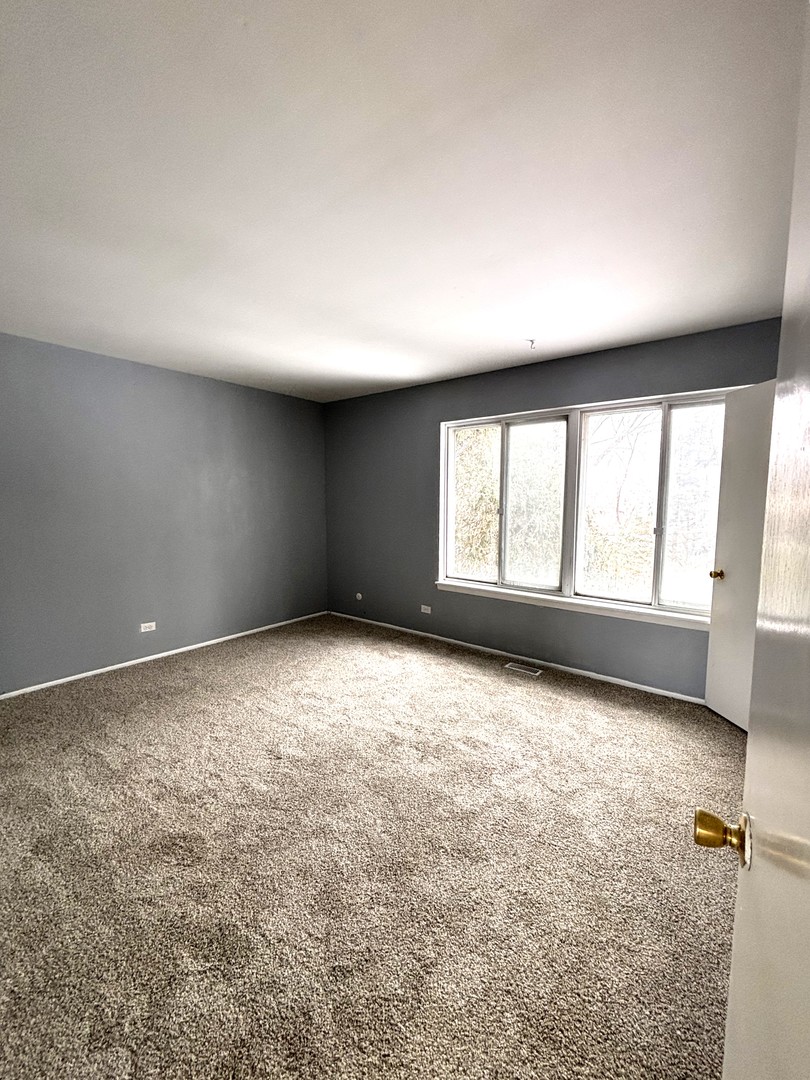 335 Shiloh Lane Elgin, IL 60120 - Photo 8 of 14