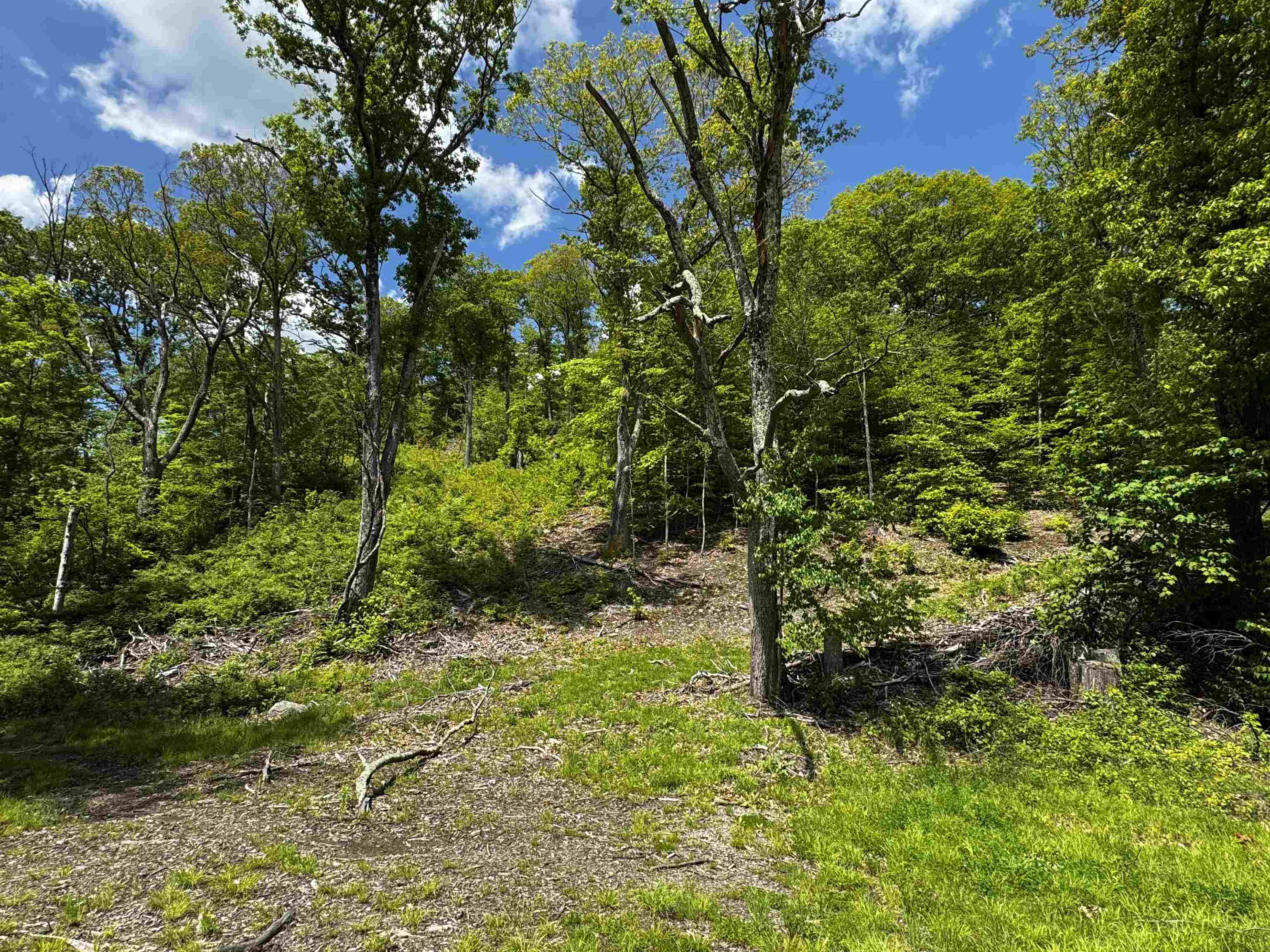 0 West Sandgate/ Sandgate Road Sandgate, VT 05250 - Photo 11 of 11