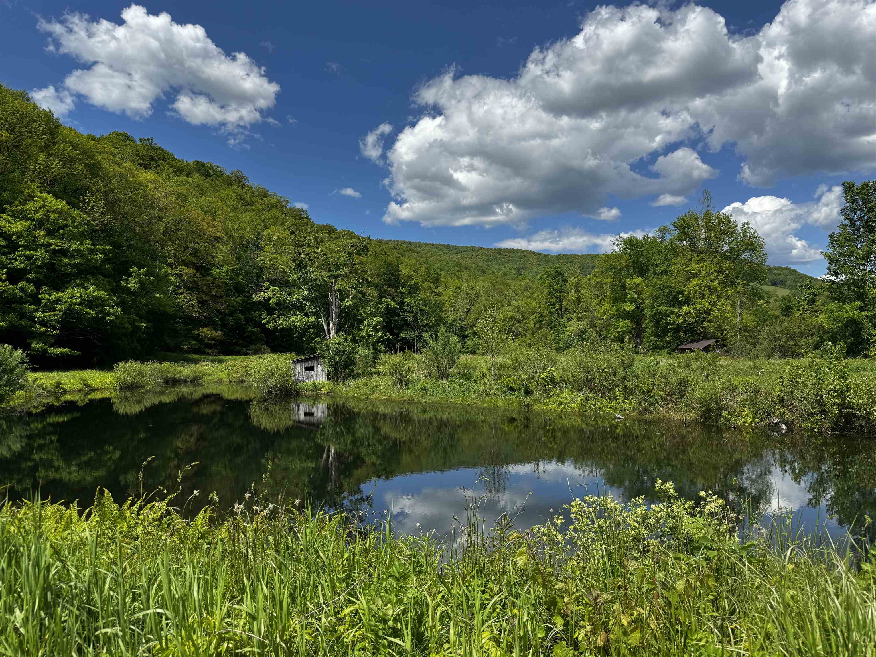 0 West Sandgate/ Sandgate Road Sandgate, VT 05250 - Photo 3 of 11