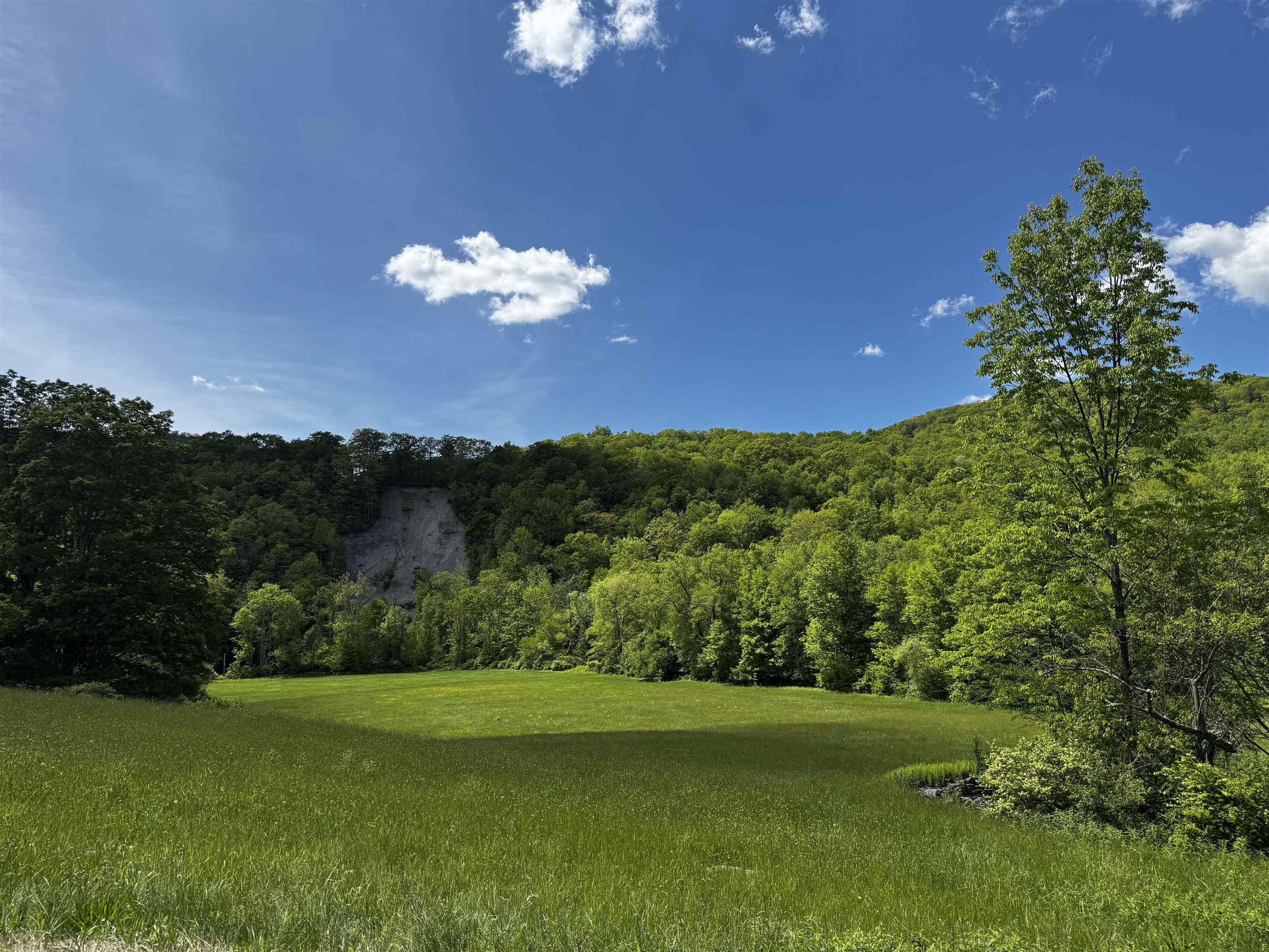 0 West Sandgate/ Sandgate Road Sandgate, VT 05250 - Photo 4 of 11