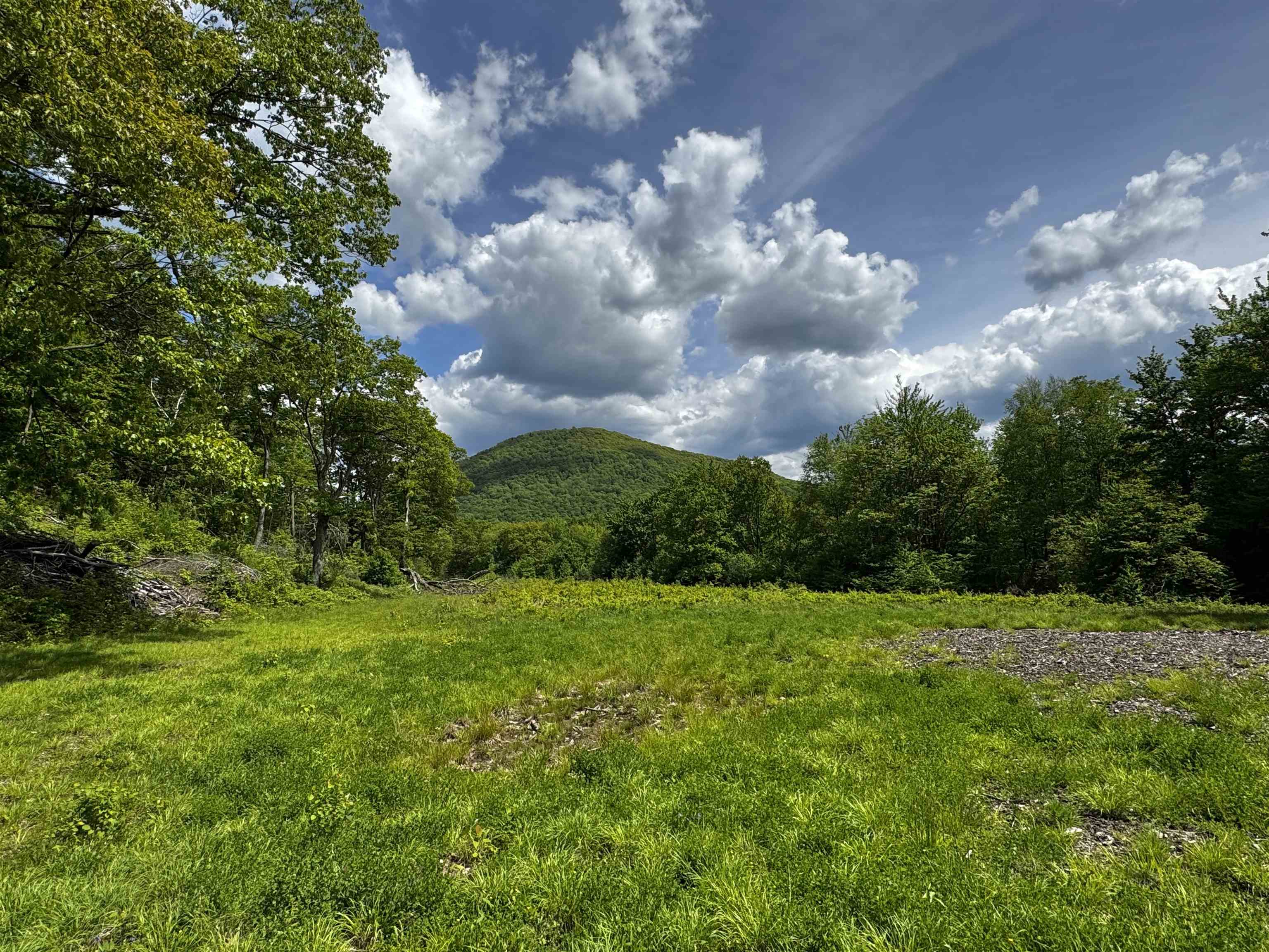 0 West Sandgate/ Sandgate Road Sandgate, VT 05250 - Photo 5 of 11