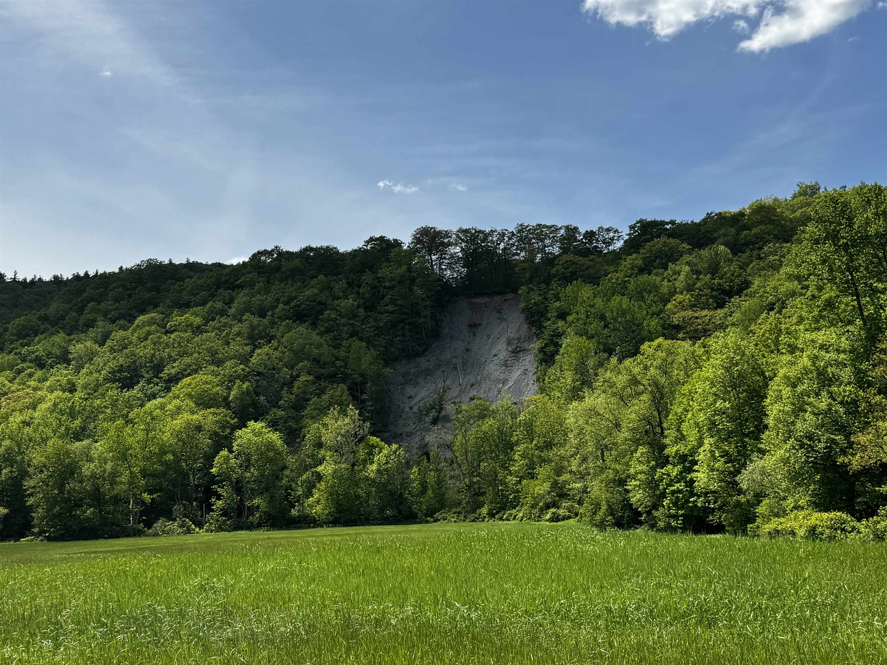 0 West Sandgate/ Sandgate Road Sandgate, VT 05250 - Photo 6 of 11