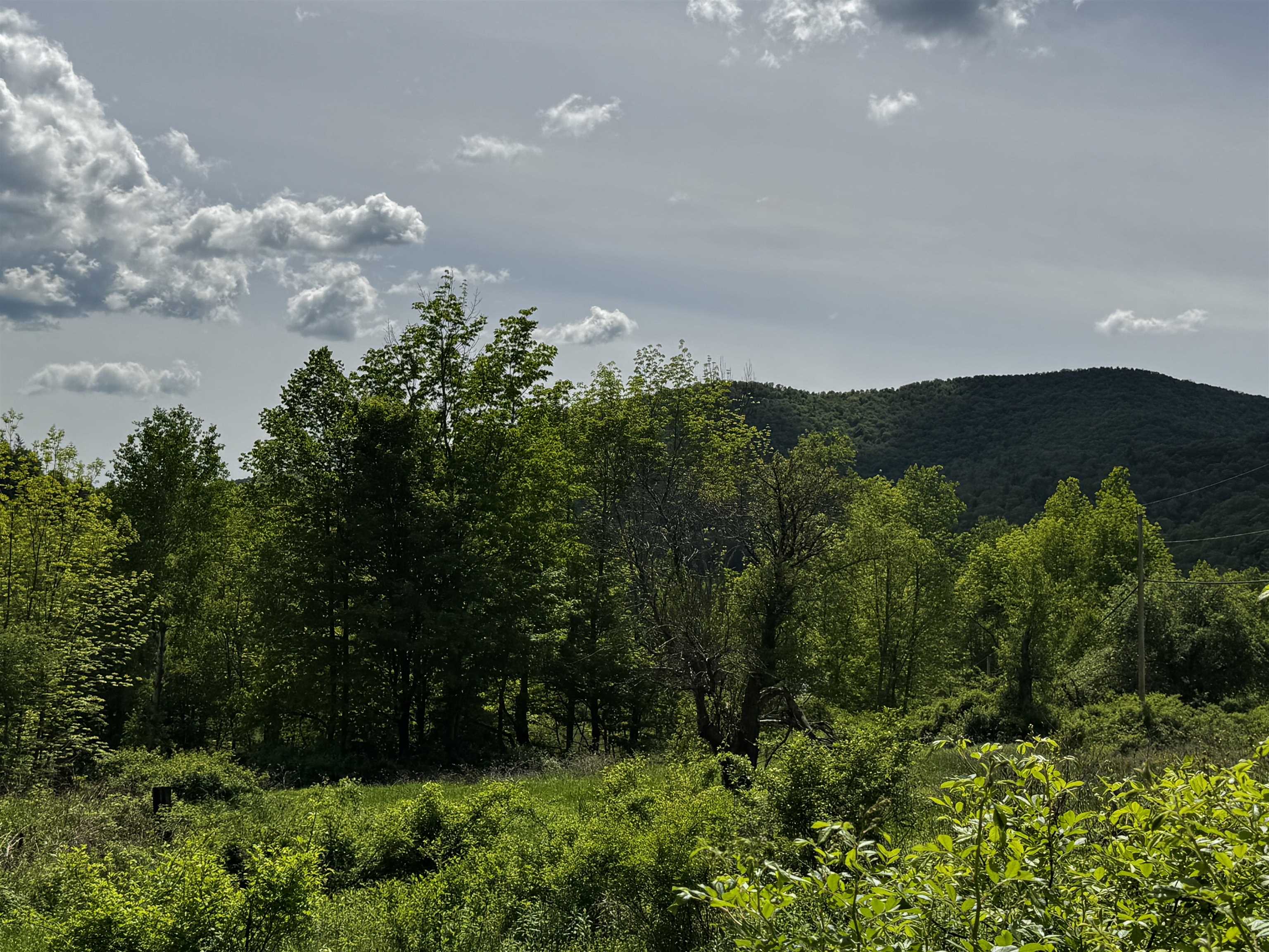0 West Sandgate/ Sandgate Road Sandgate, VT 05250 - Photo 8 of 11