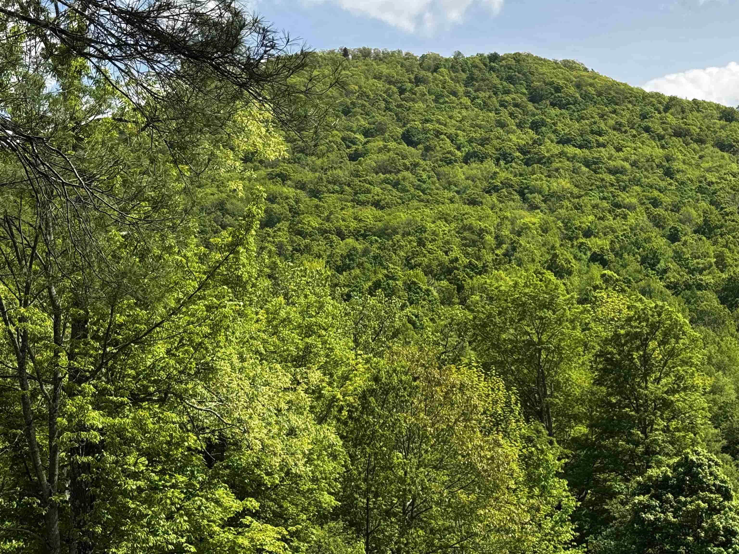 0 West Sandgate/ Sandgate Road Sandgate, VT 05250 - Photo 9 of 11
