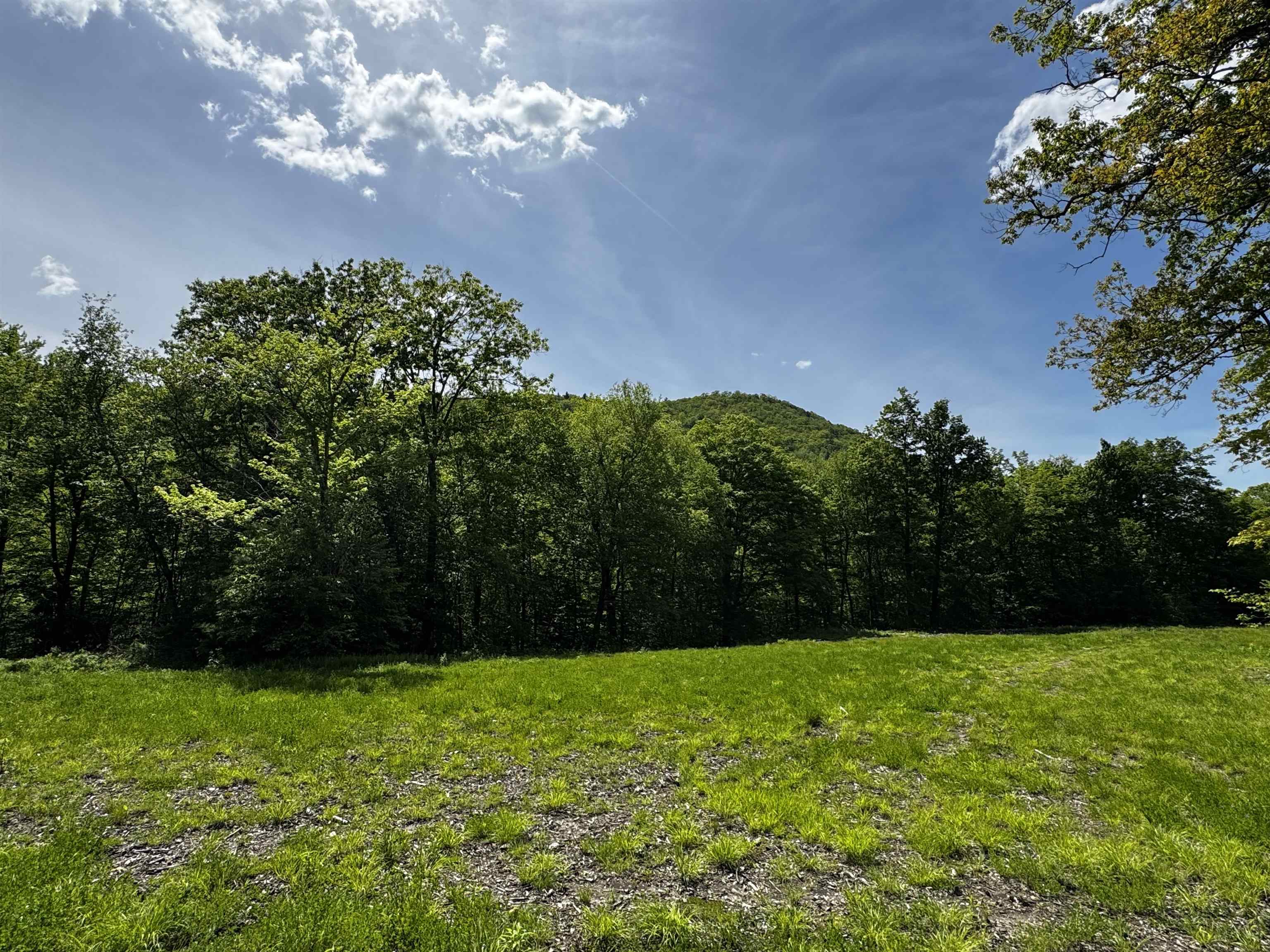 0 West Sandgate/ Sandgate Road Sandgate, VT 05250 - Photo 10 of 11