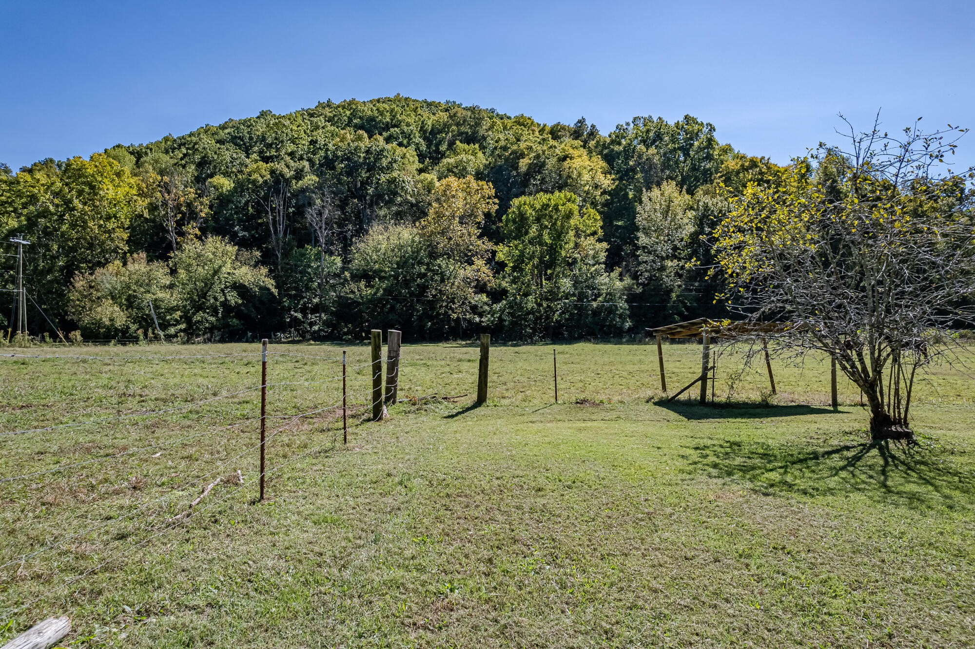 2443 Fairview Road Madisonville, TN 37354 - Photo 44 of 50 Gallery Image 44