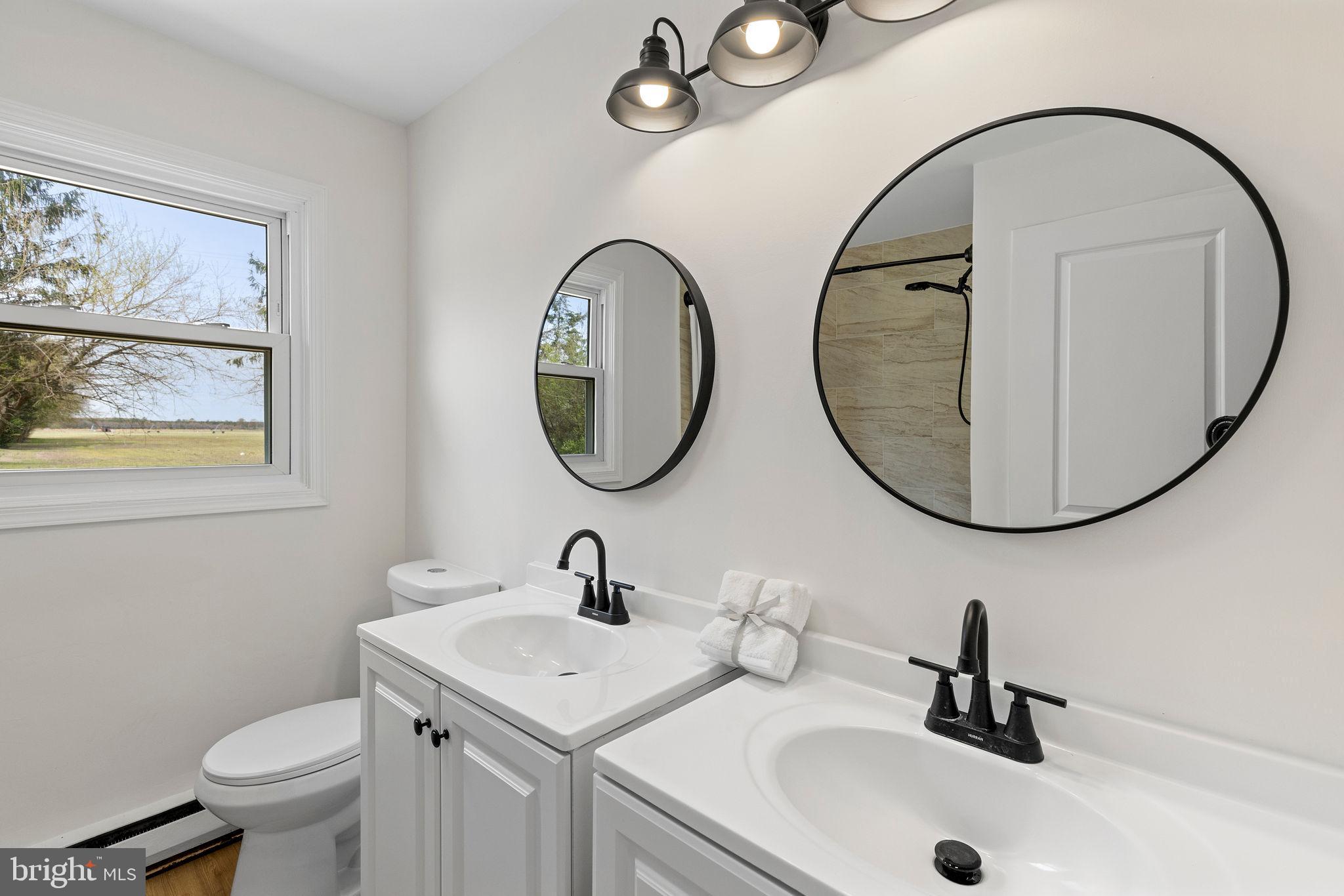 6749 Eldorado Road Federalsburg, MD 21632 - Photo 23 of 39 a bathroom with a sink a mirror and a toilet